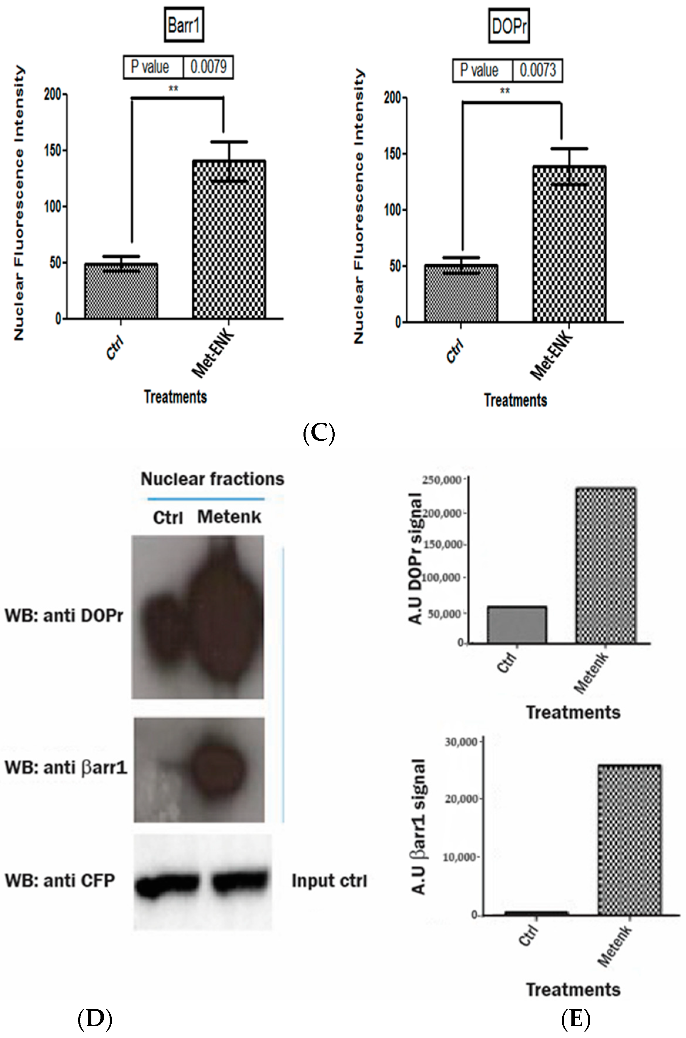 Cells 13 00232 g004b