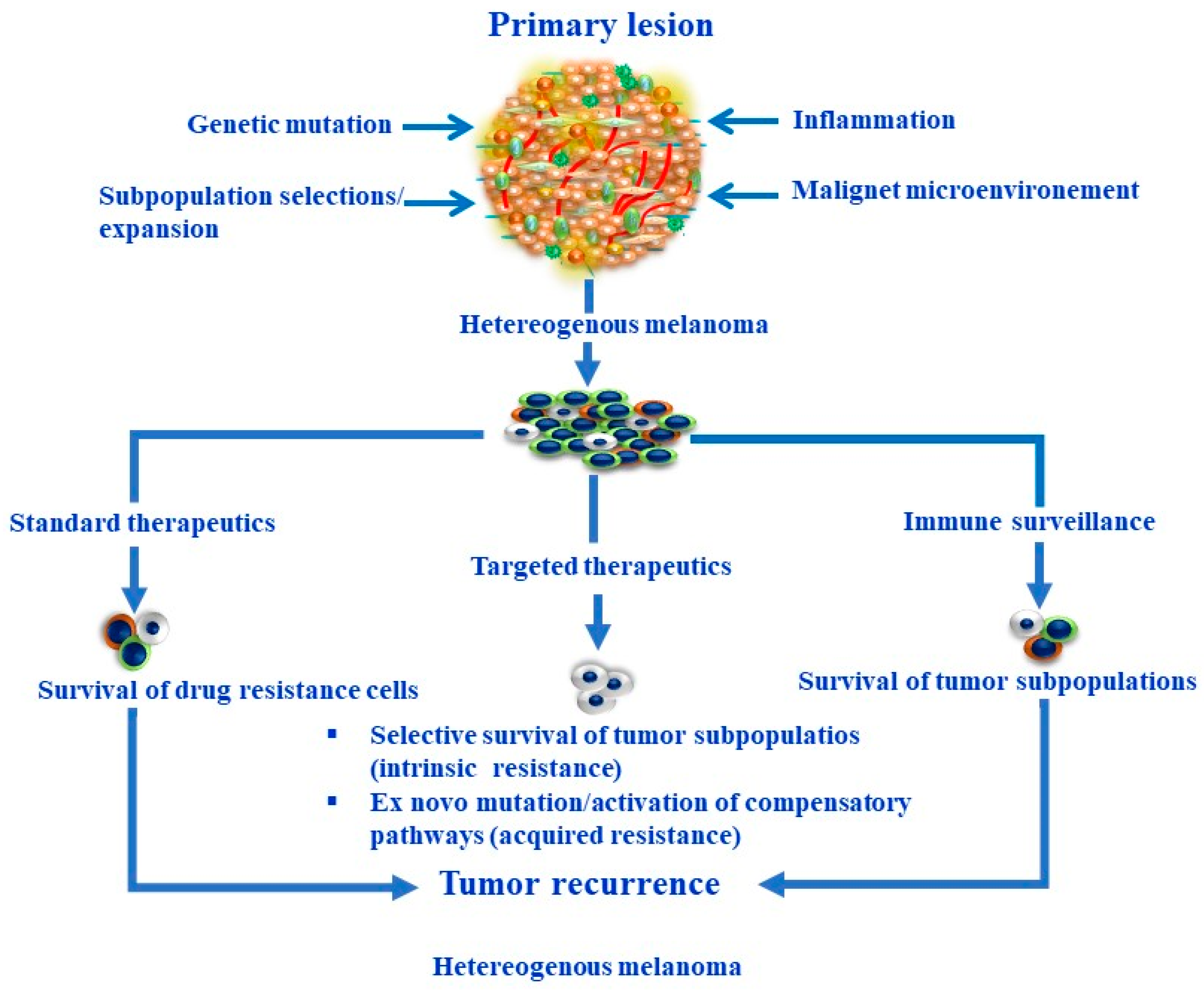 Cells 13 00240 g001 Cells 13 00240 g001
