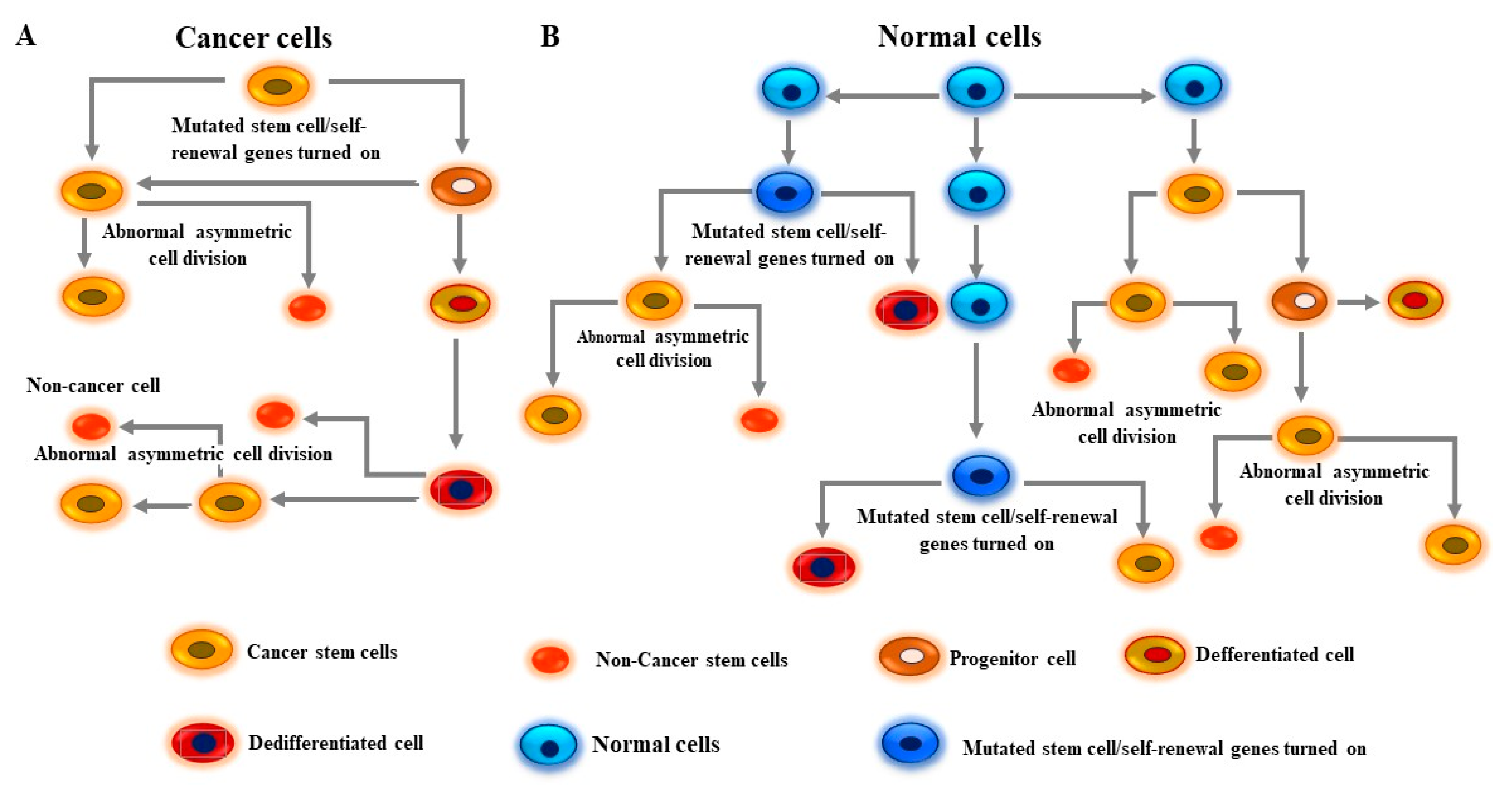 Cells 13 00240 g003 Cells 13 00240 g003