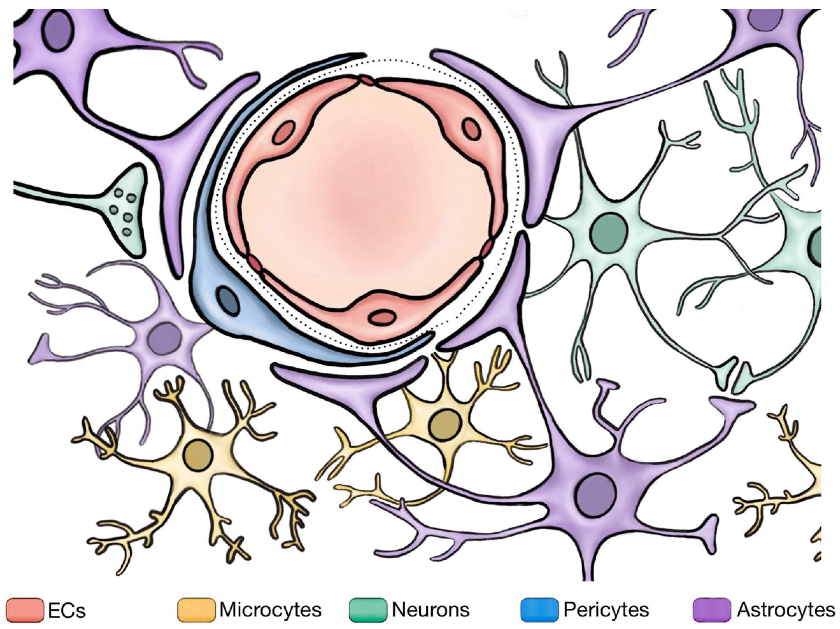 Cells 13 00260 g002 Cells 13 00260 g002