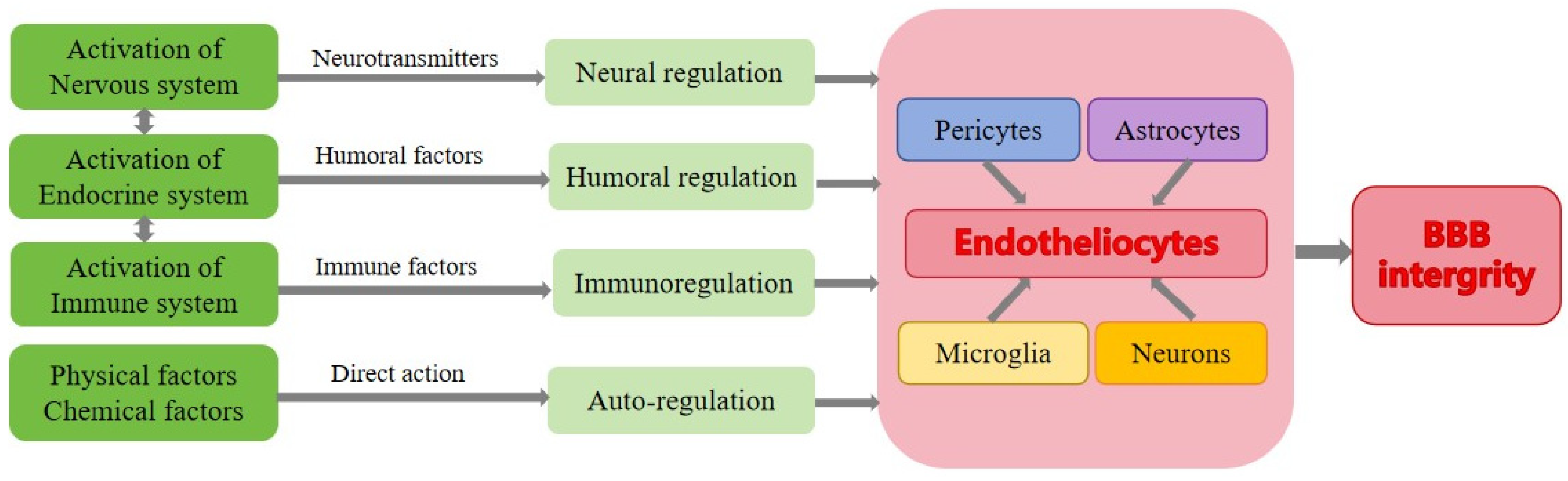 Cells 13 00260 g003 Cells 13 00260 g003