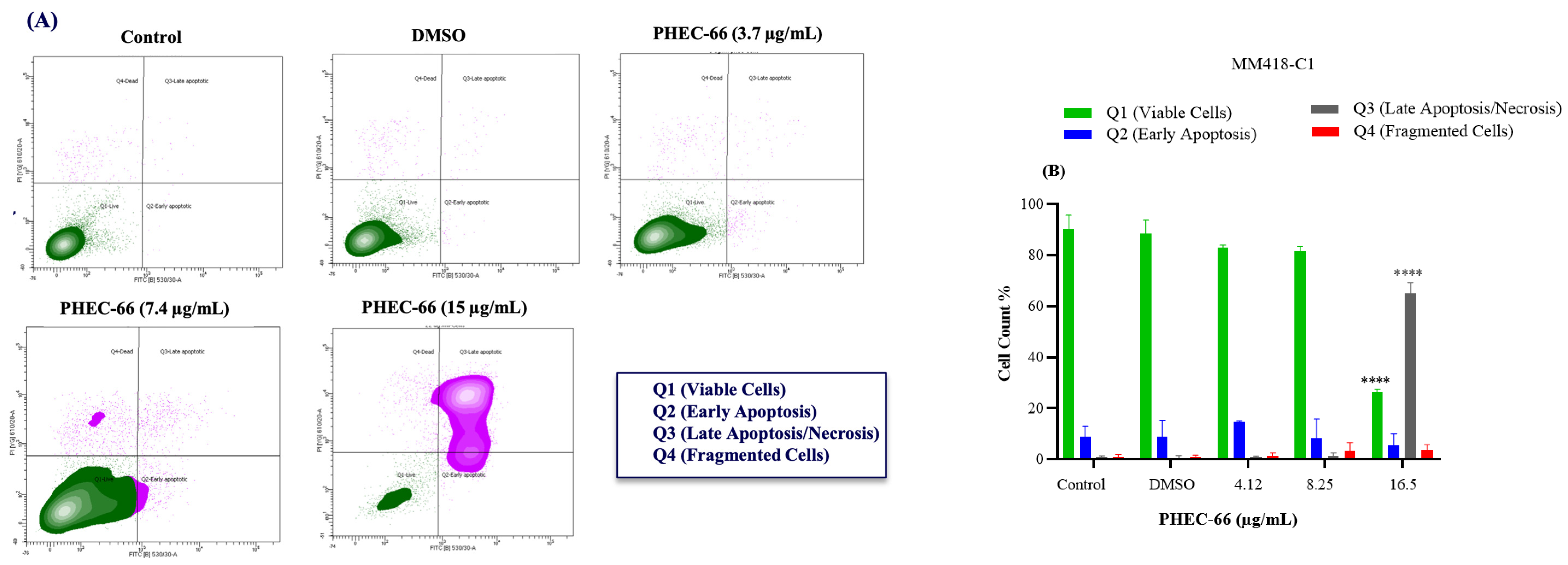 Cells 13 00268 g005a