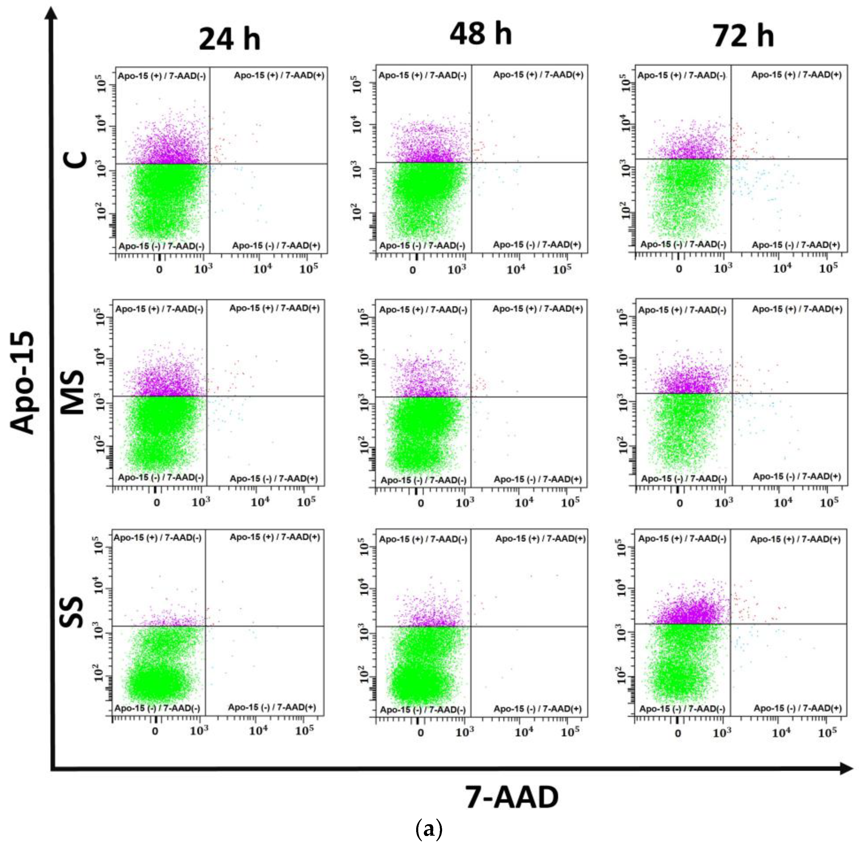 Cells 13 00282 g003a