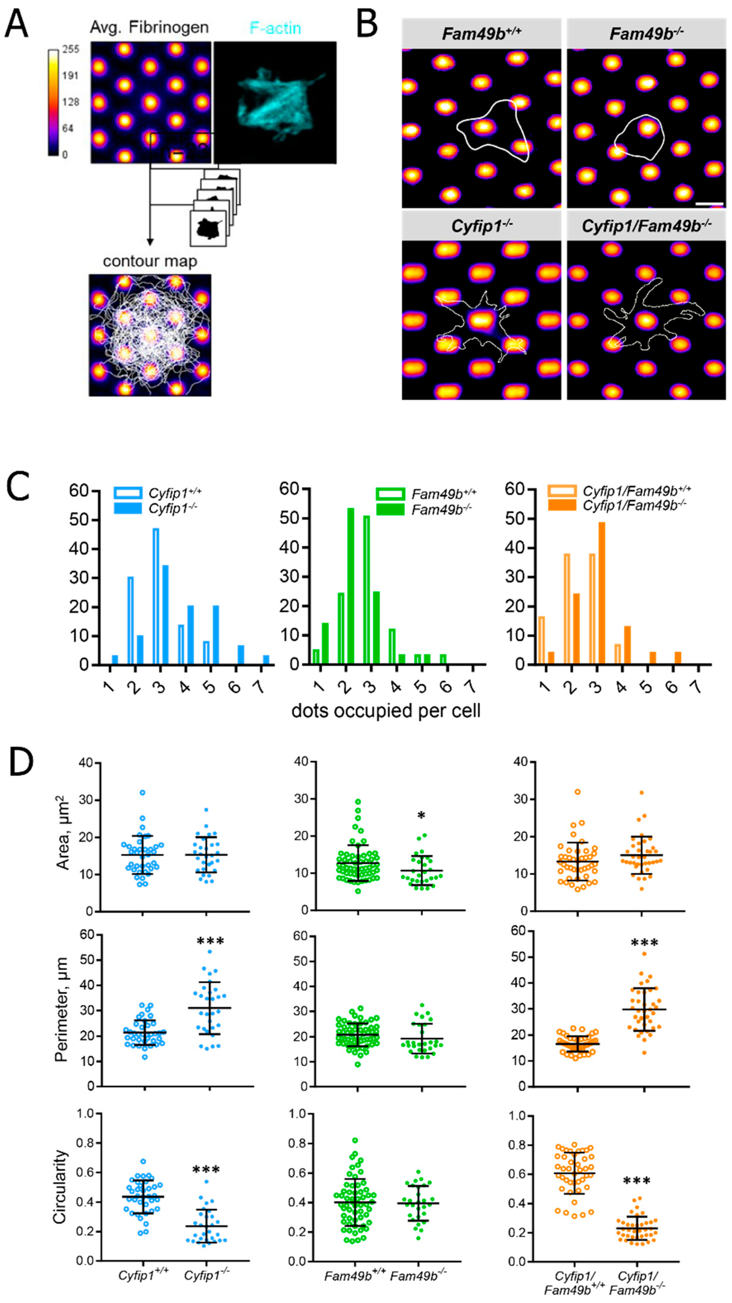 Cells 13 00299 g005