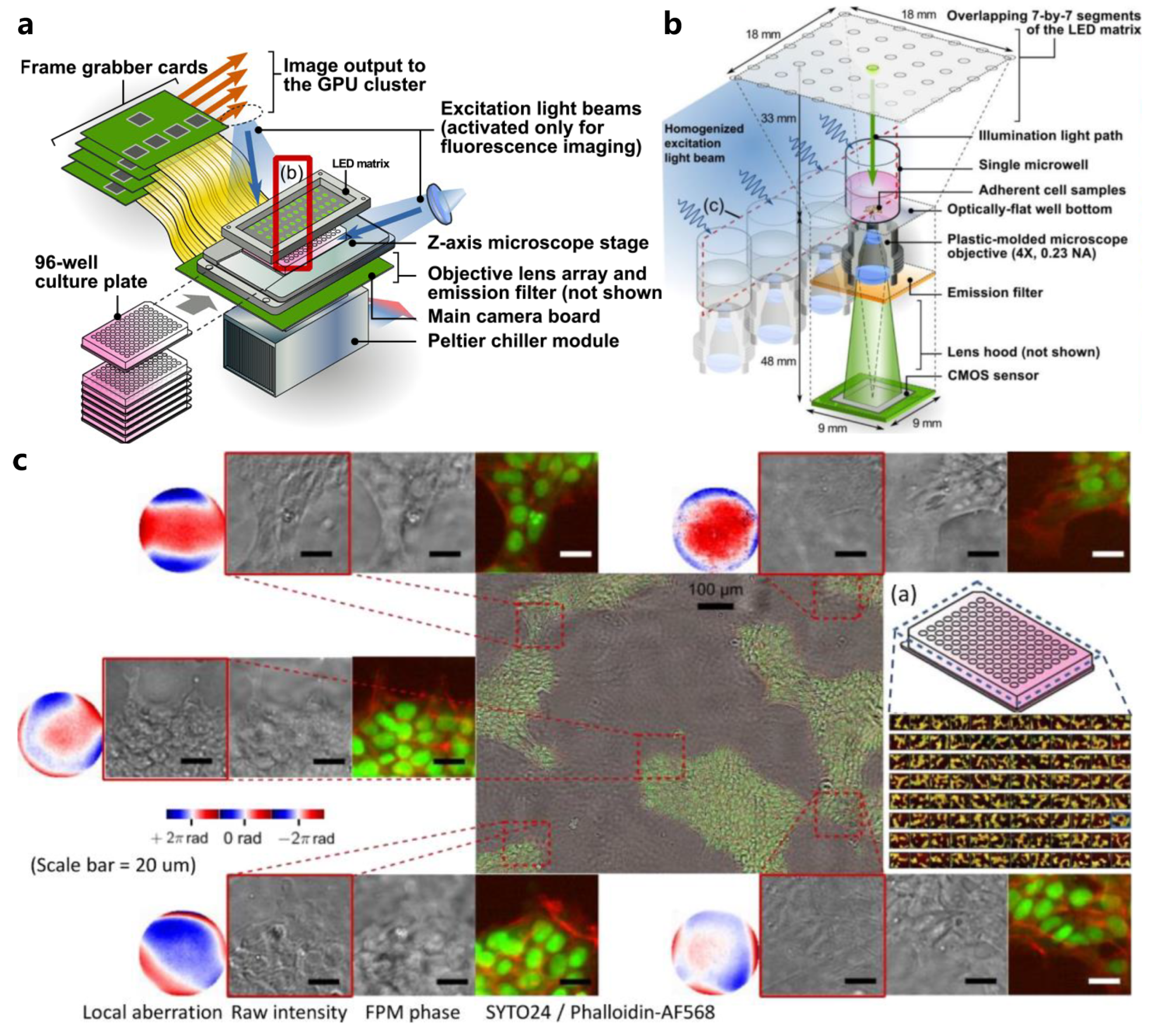 Fourier Ptychographic Microscopy 10 Years on: A Review | MDPI