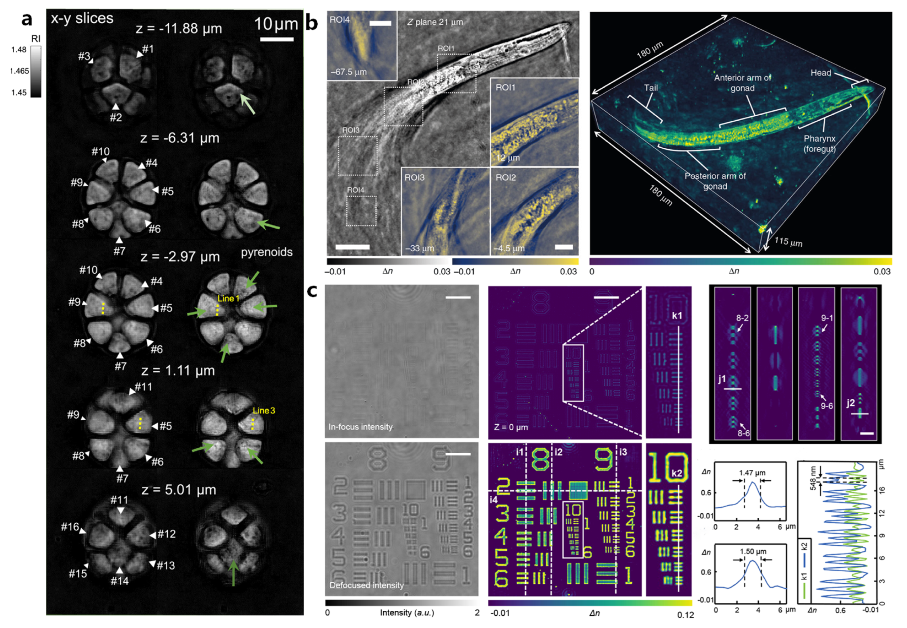 Fourier Ptychographic Microscopy 10 Years on: A Review