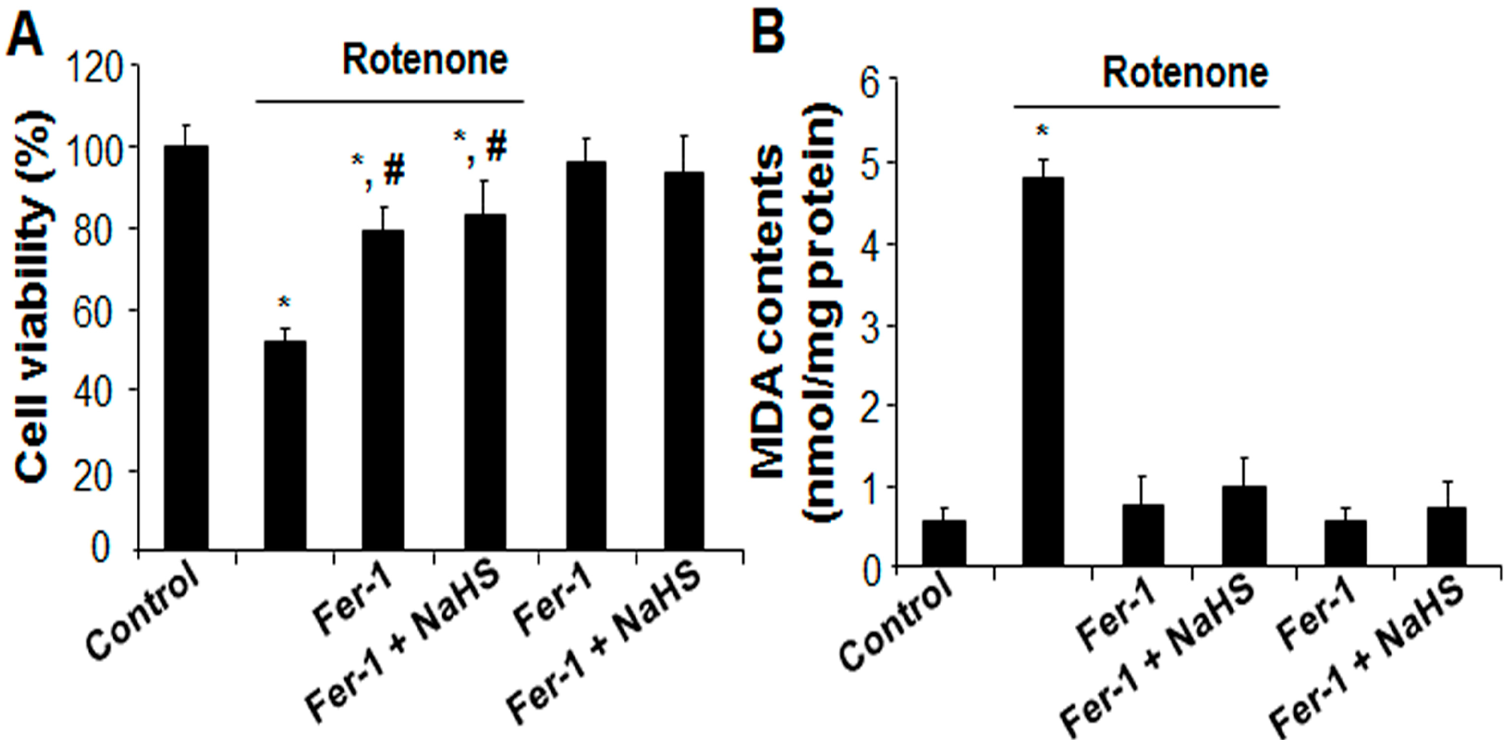 Cells 13 00371 g003a
