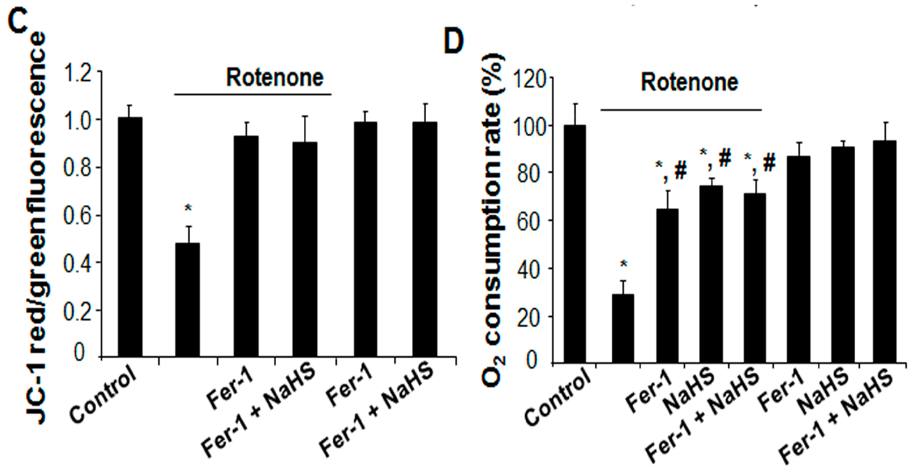 Cells 13 00371 g003b