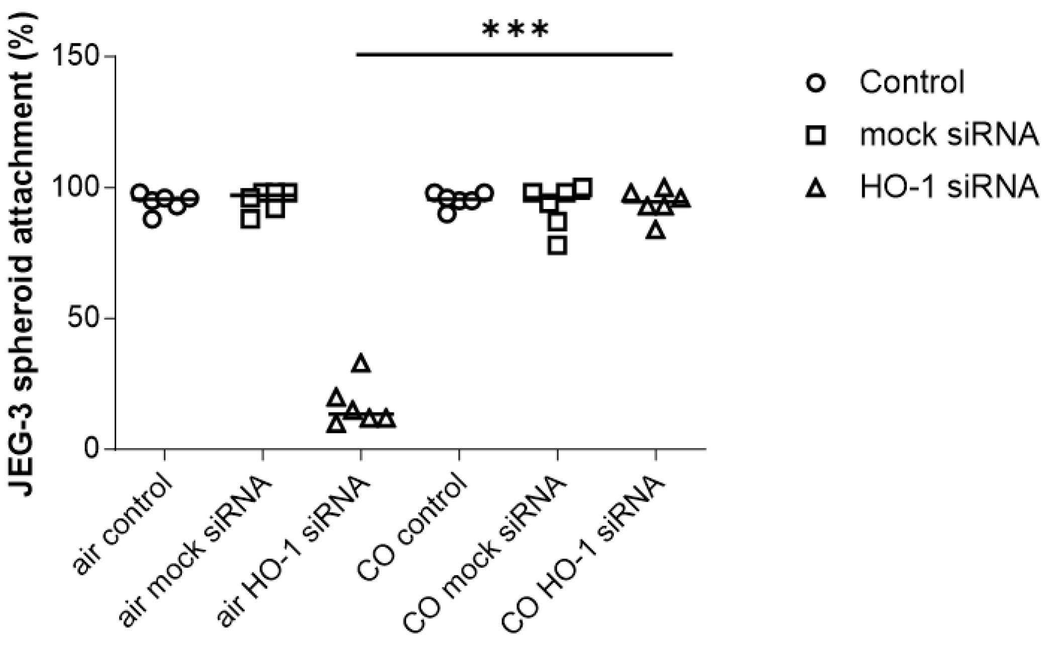 Cells 13 00376 g002 Cells 13 00376 g002