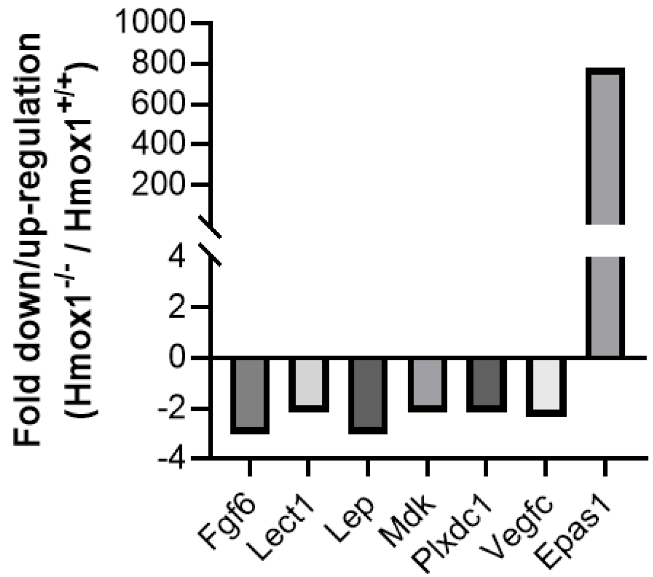 Cells 13 00376 g004 Cells 13 00376 g004