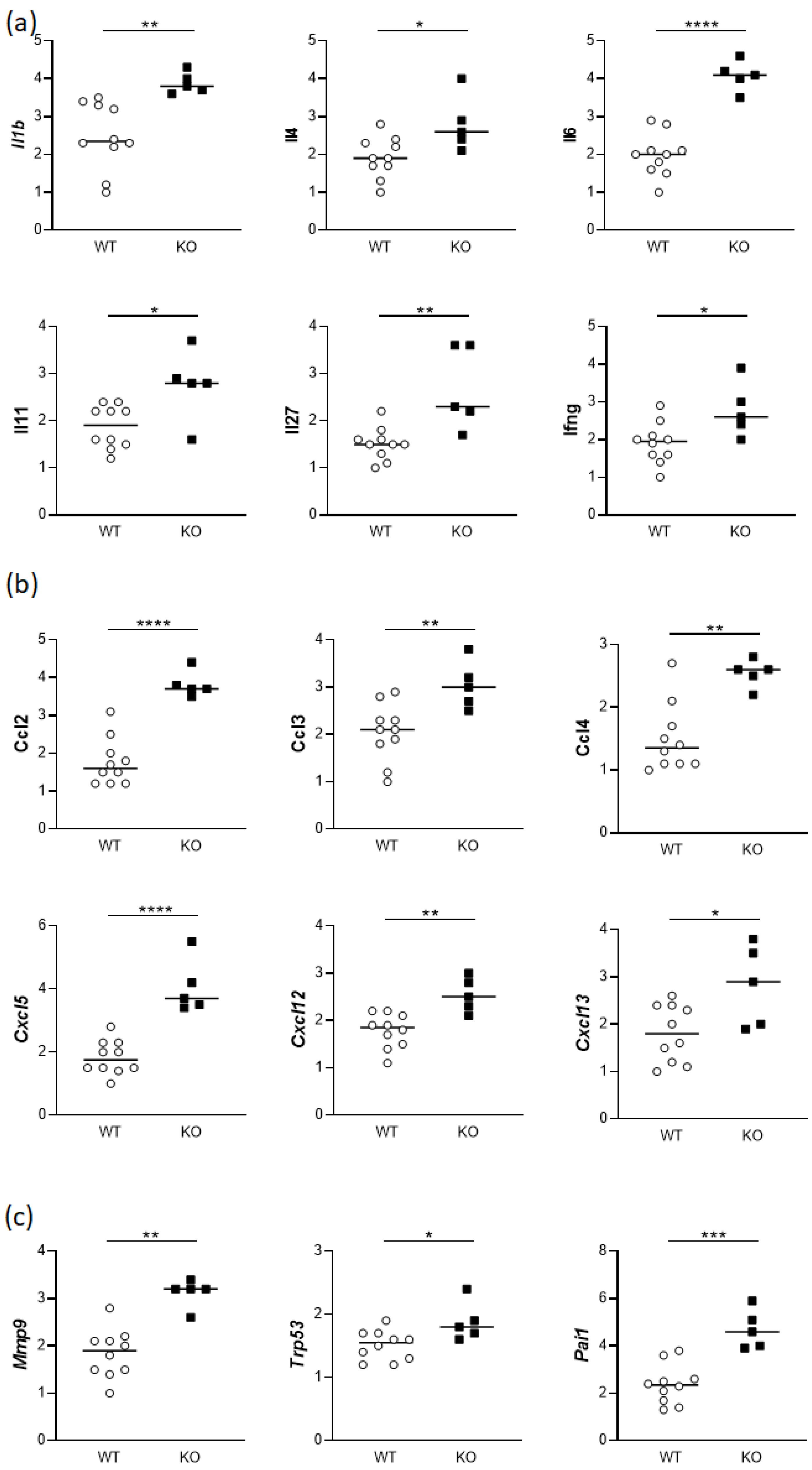 Cells 13 00376 g005 Cells 13 00376 g005