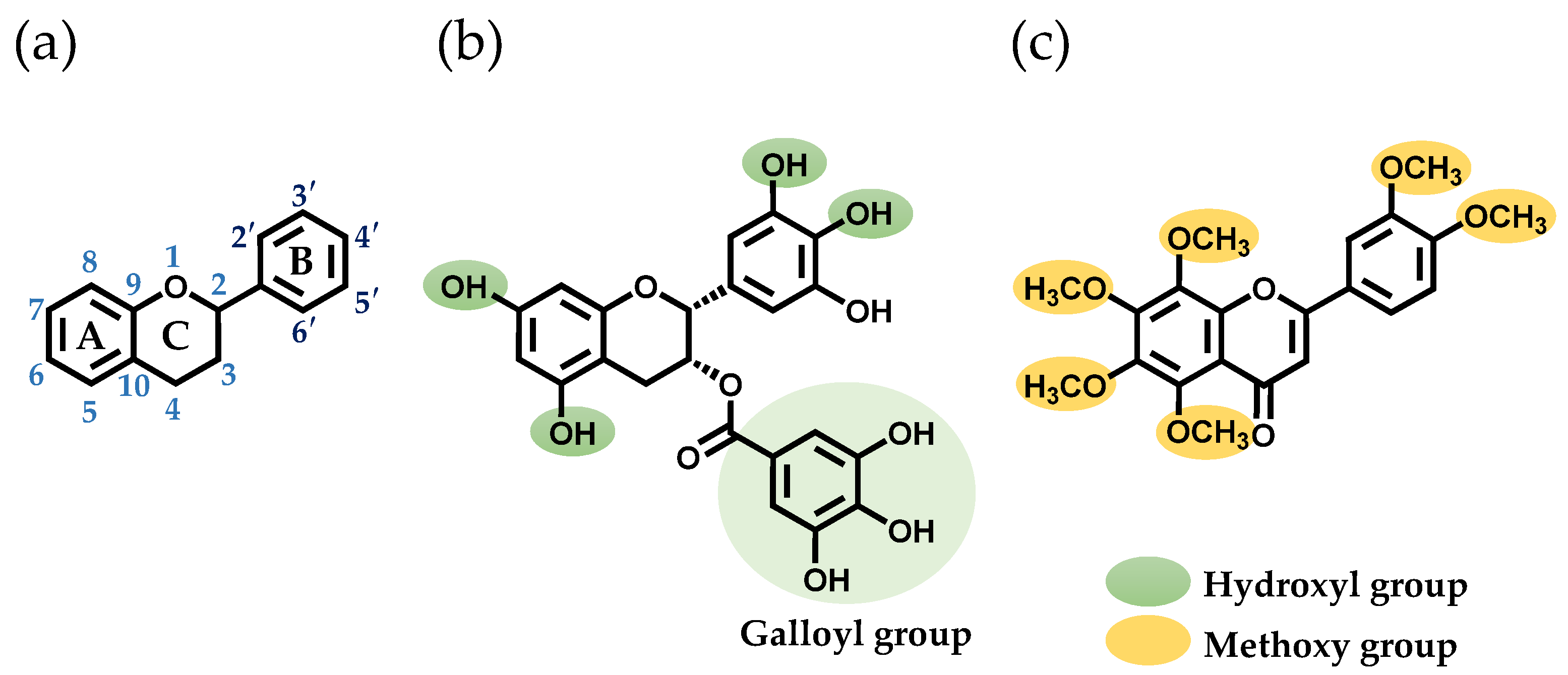 Cells 13 00387 g001 Cells 13 00387 g001