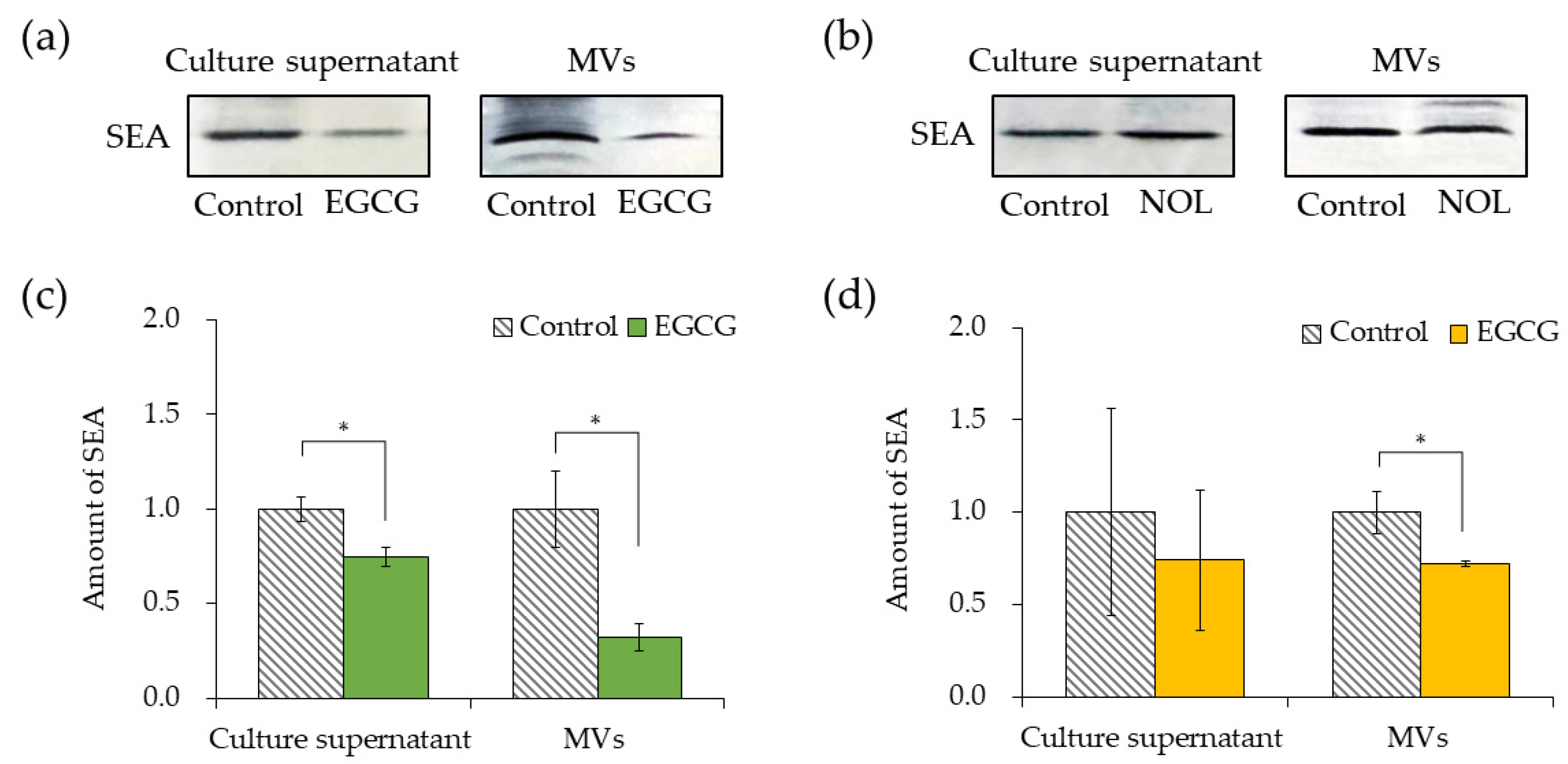 Cells 13 00387 g006 Cells 13 00387 g006
