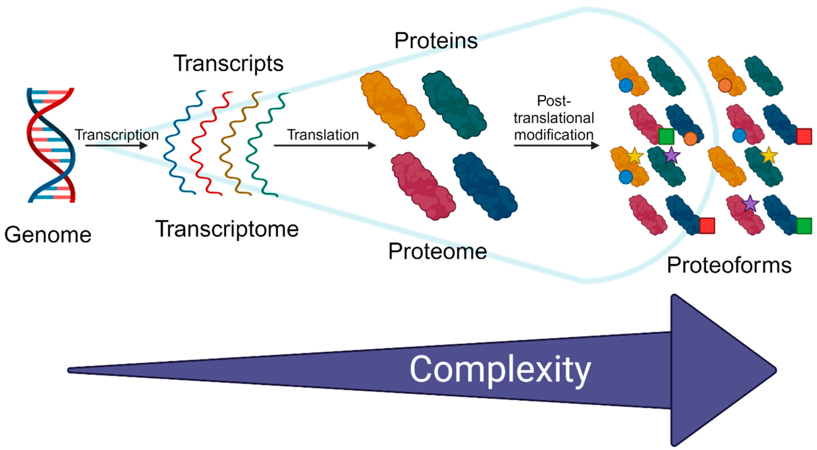 Cells 13 00394 sch001