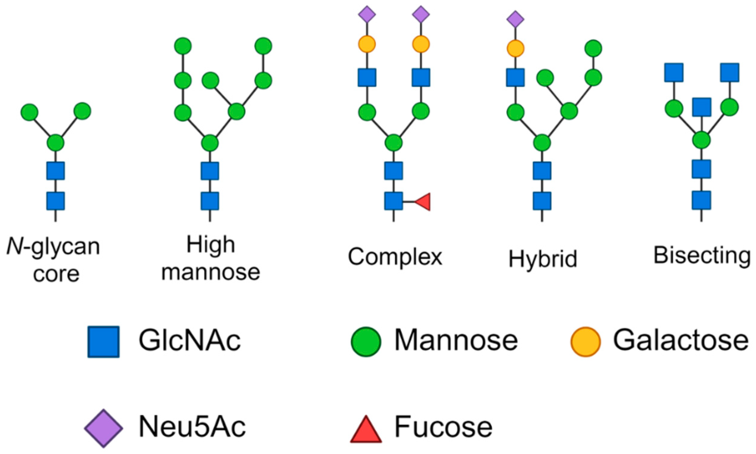 Cells 13 00394 sch002