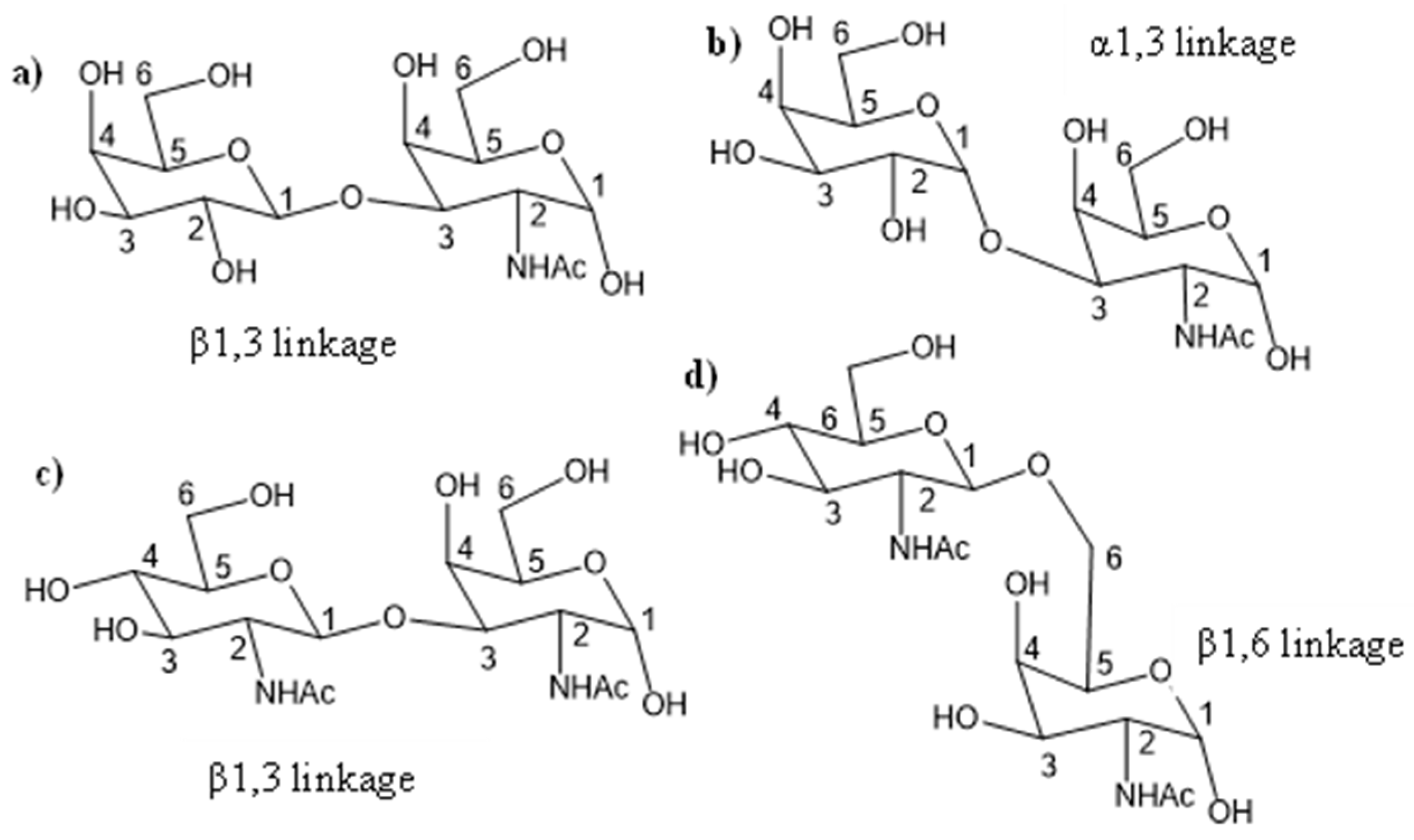 Cells 13 00394 sch004