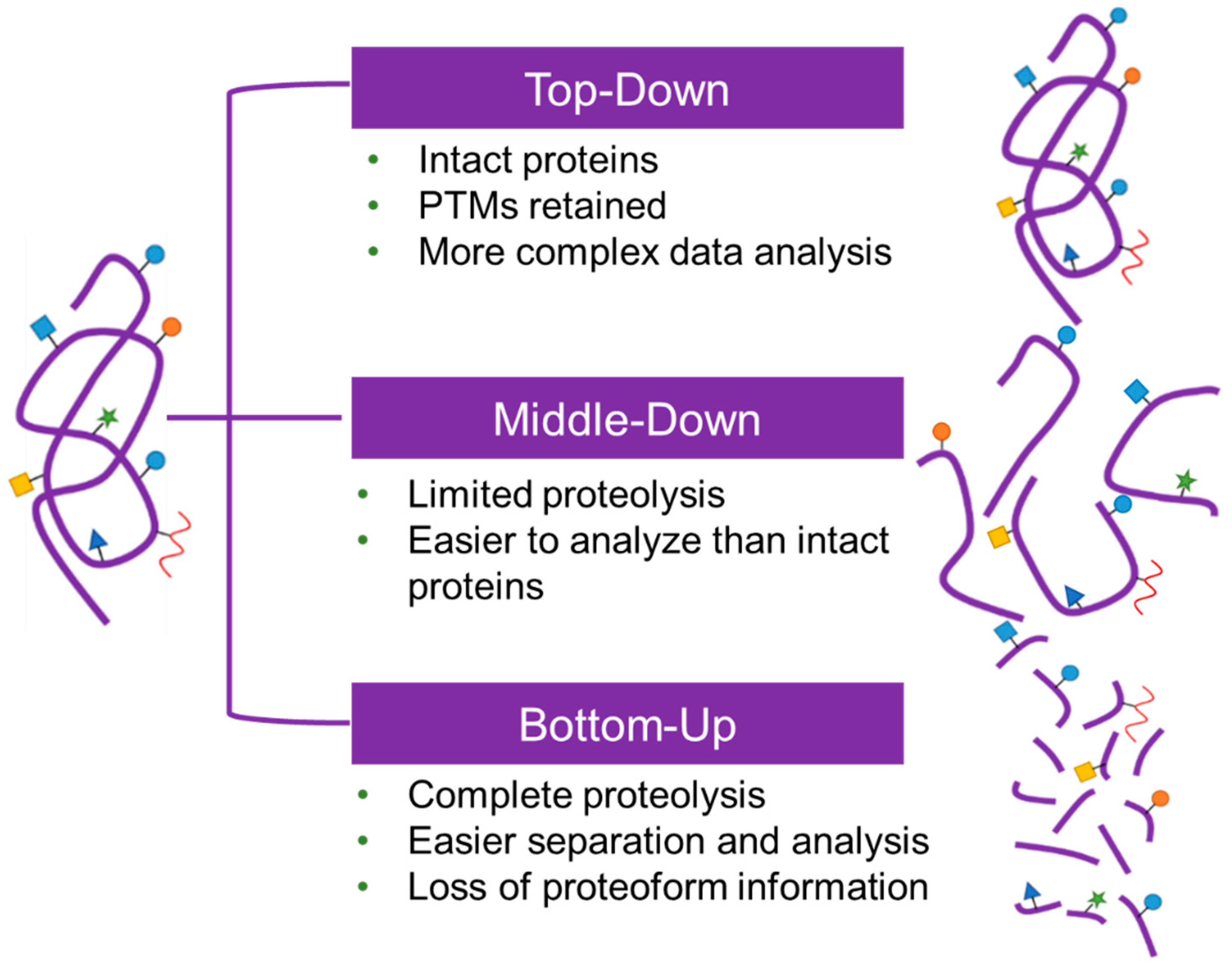 Cells 13 00394 sch005