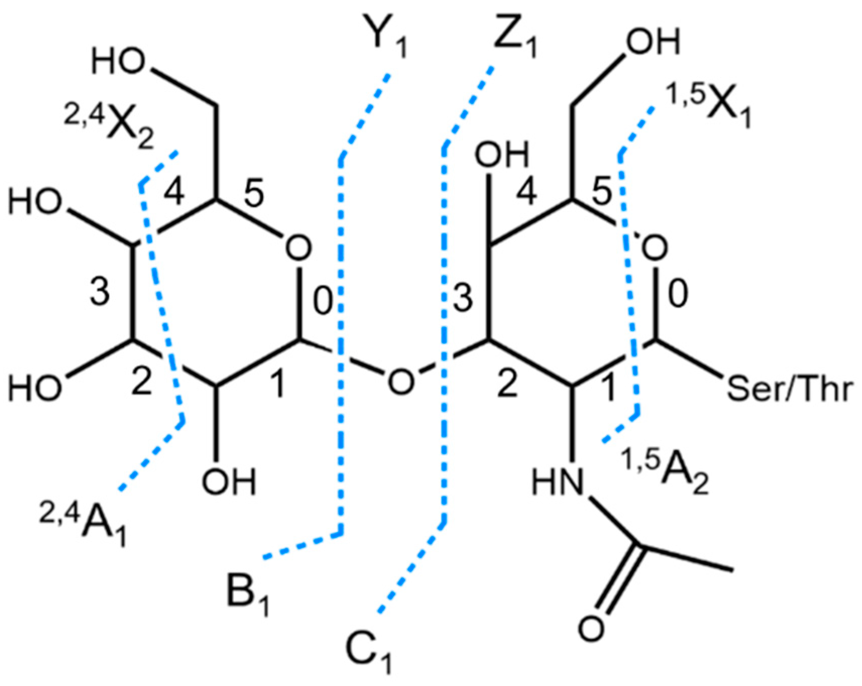 Cells 13 00394 sch008
