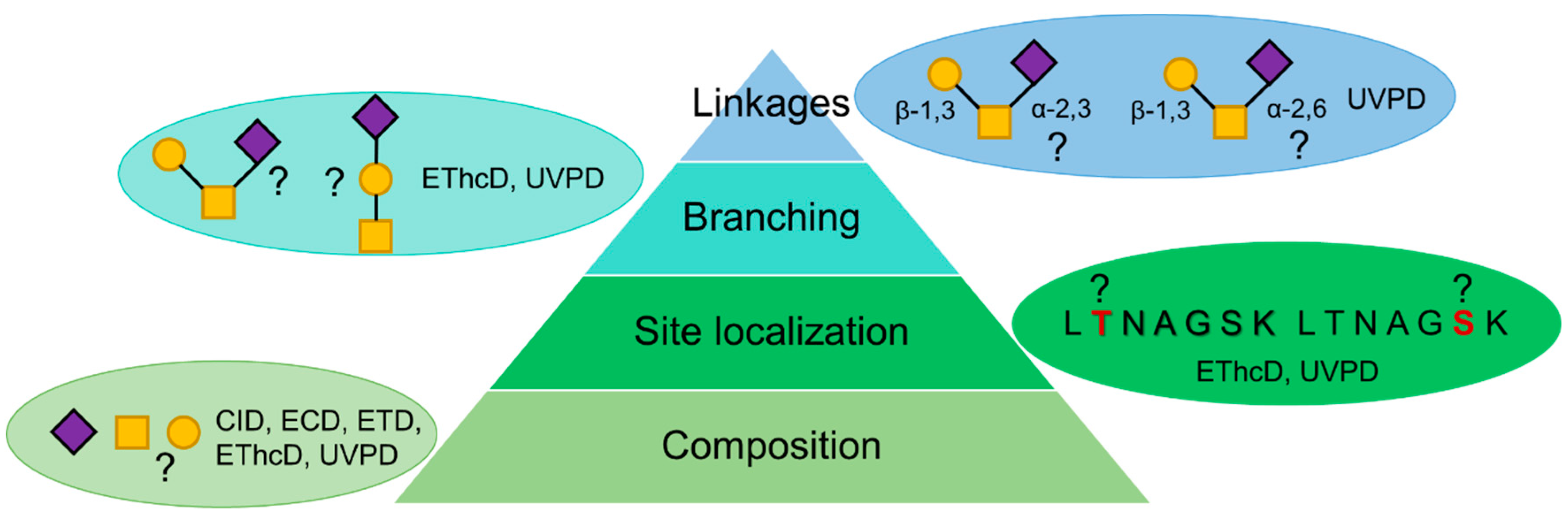 Cells 13 00394 sch009