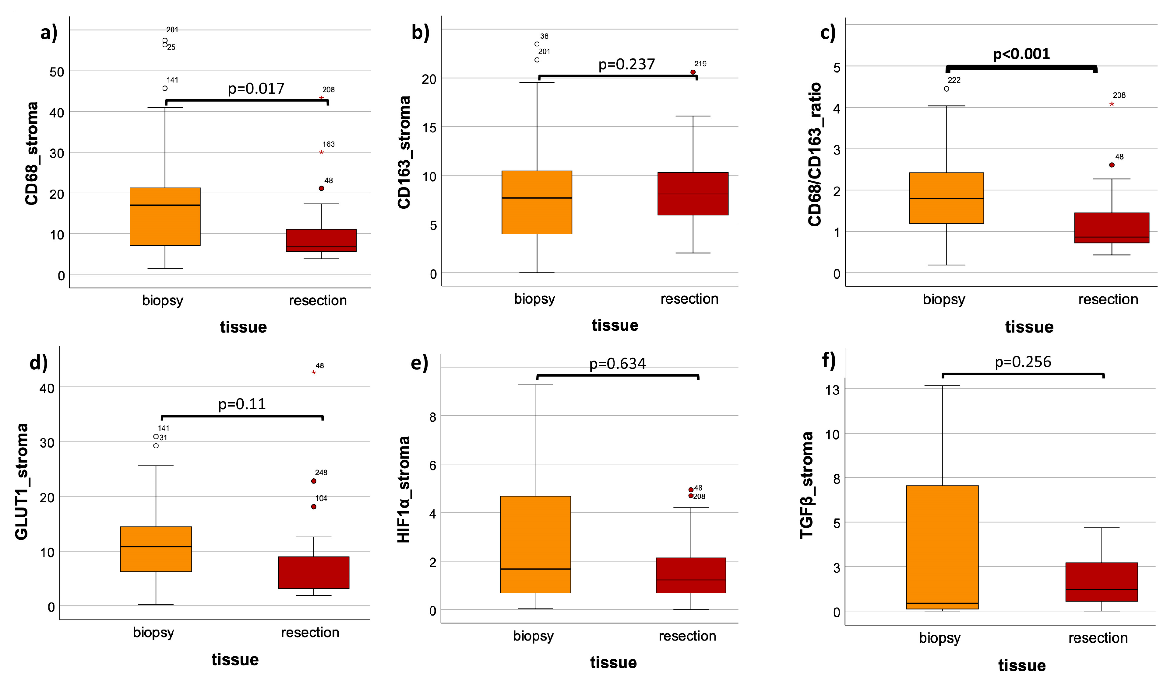 Cells 13 00397 g004 Cells 13 00397 g004