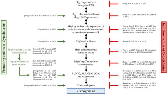 Cells 13 00400 g002 Cells 13 00400 g002