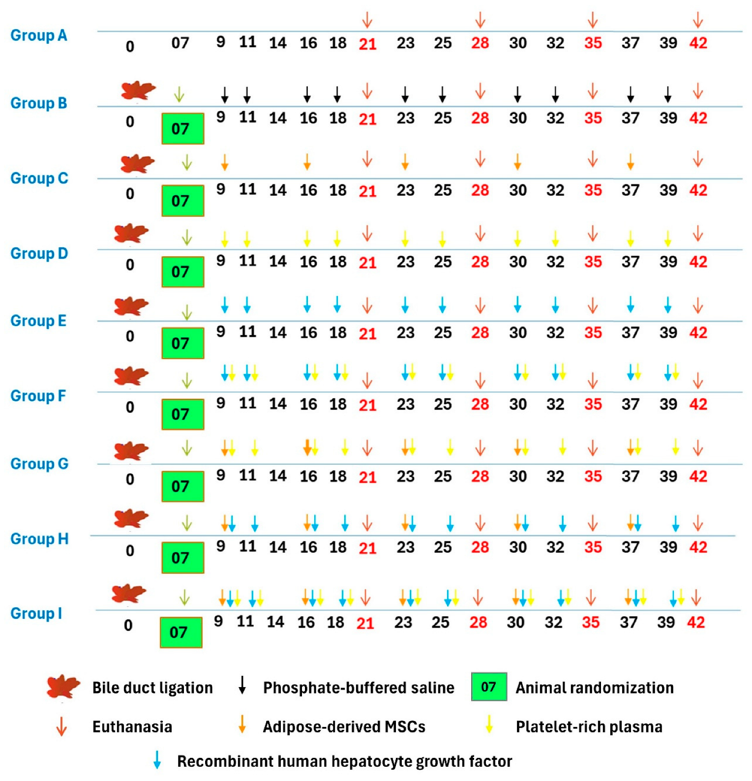 Cells 13 00404 g001 Cells 13 00404 g001