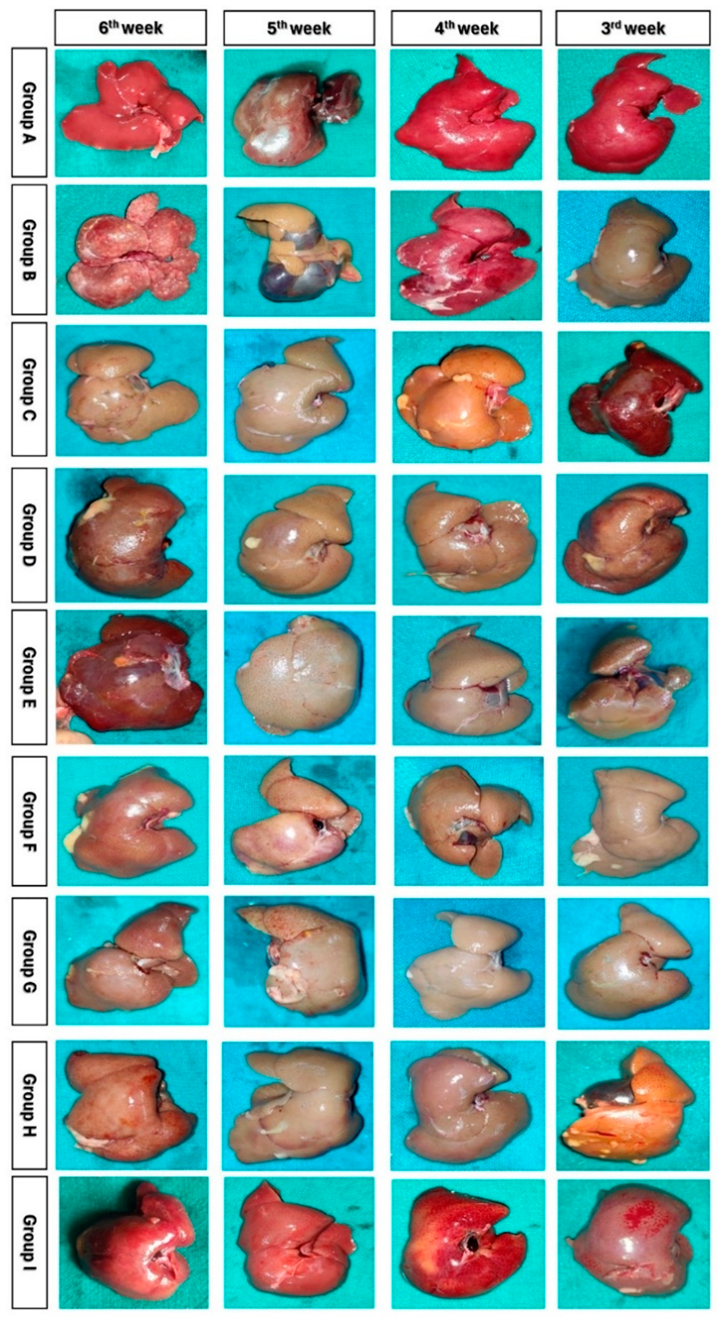 Cells 13 00404 g005 Cells 13 00404 g005