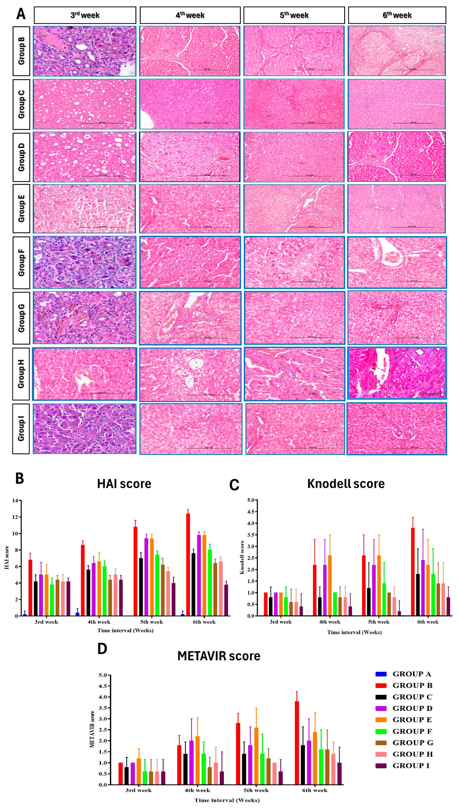 Cells 13 00404 g006 Cells 13 00404 g006