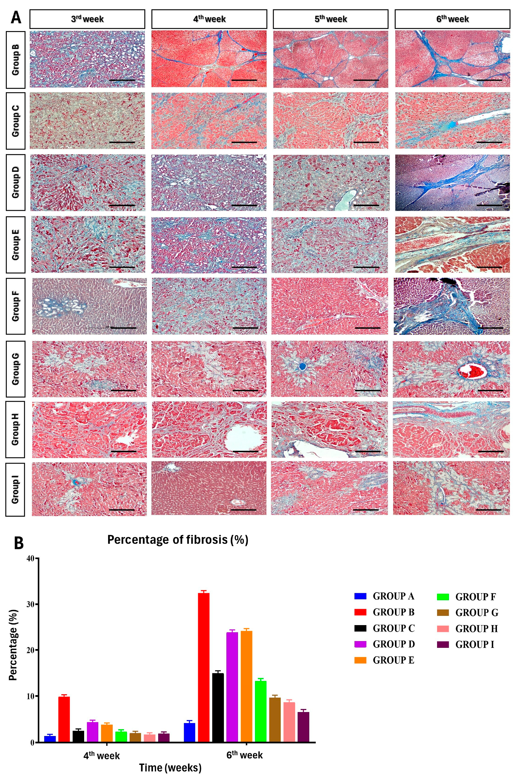 Cells 13 00404 g007 Cells 13 00404 g007