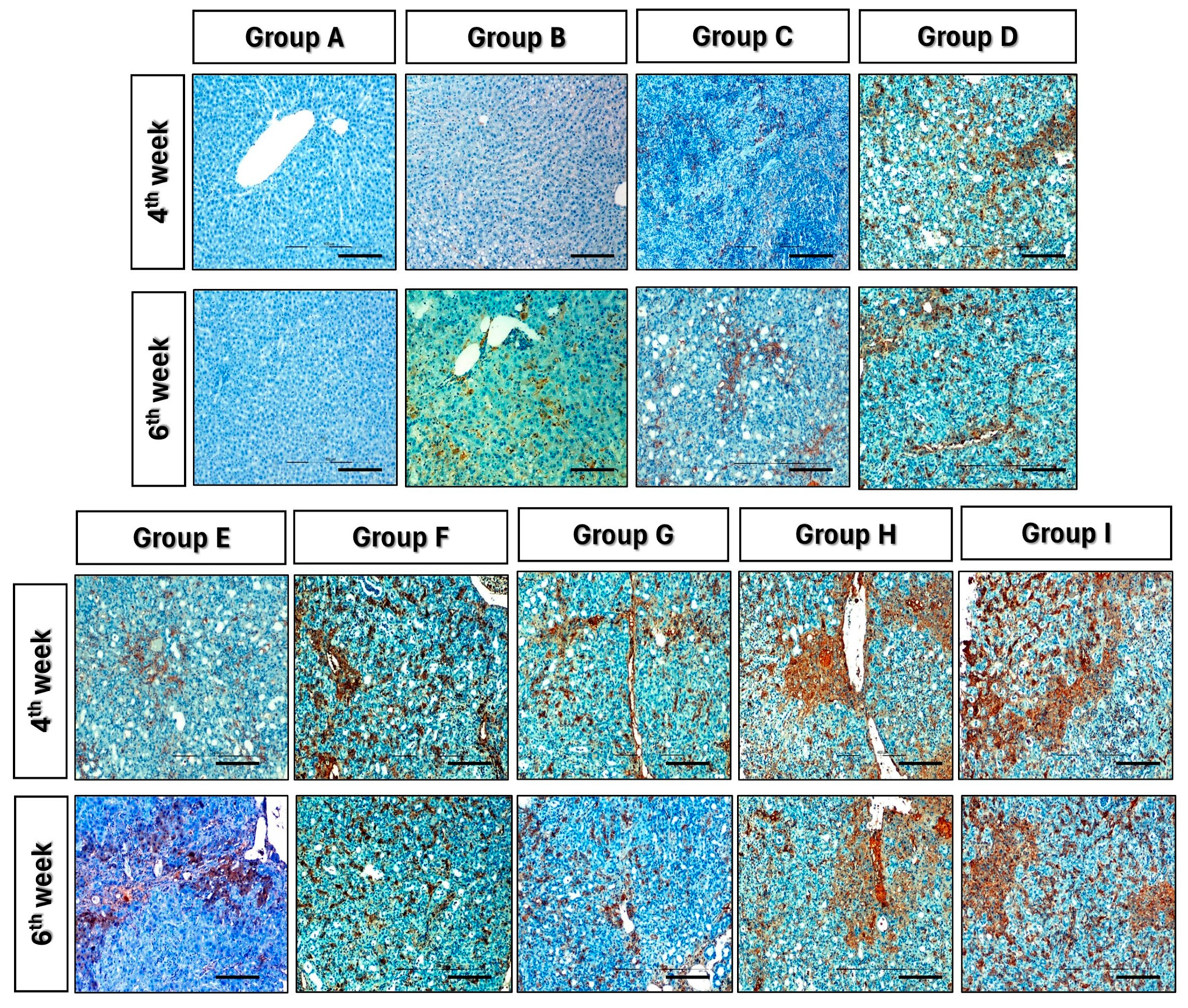 Cells 13 00404 g008 Cells 13 00404 g008