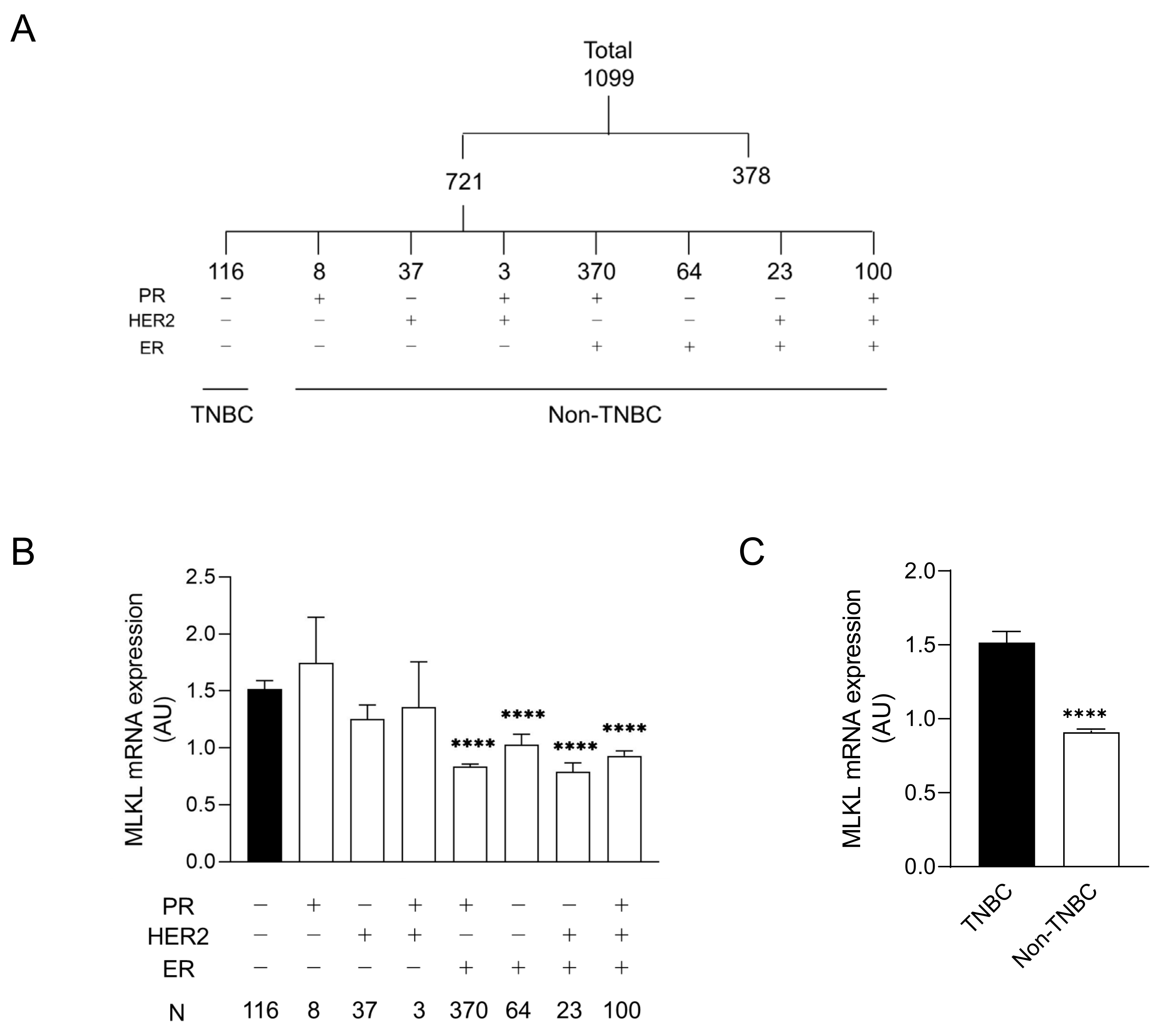Cells 13 00405 g001 Cells 13 00405 g001