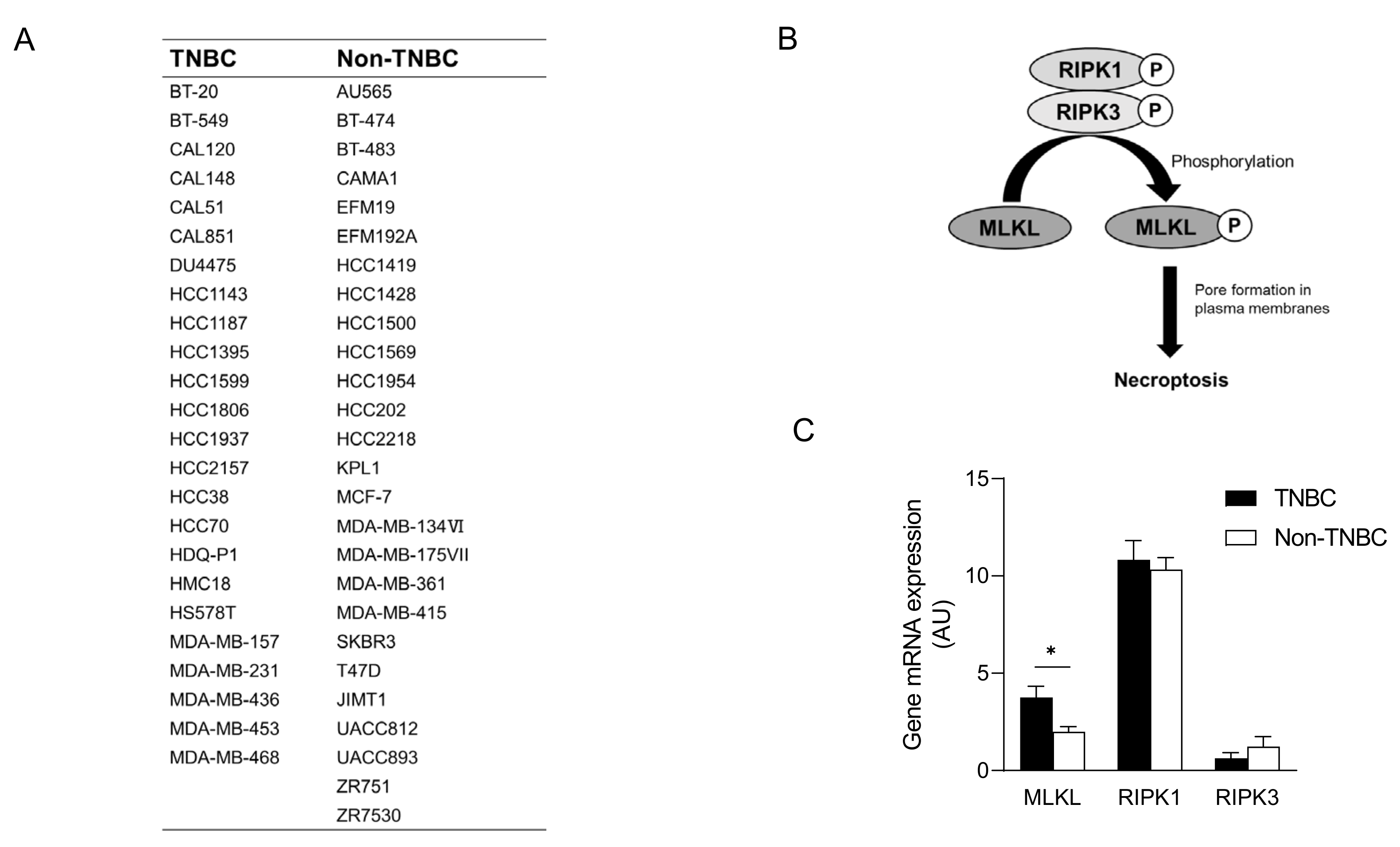 Cells 13 00405 g002 Cells 13 00405 g002