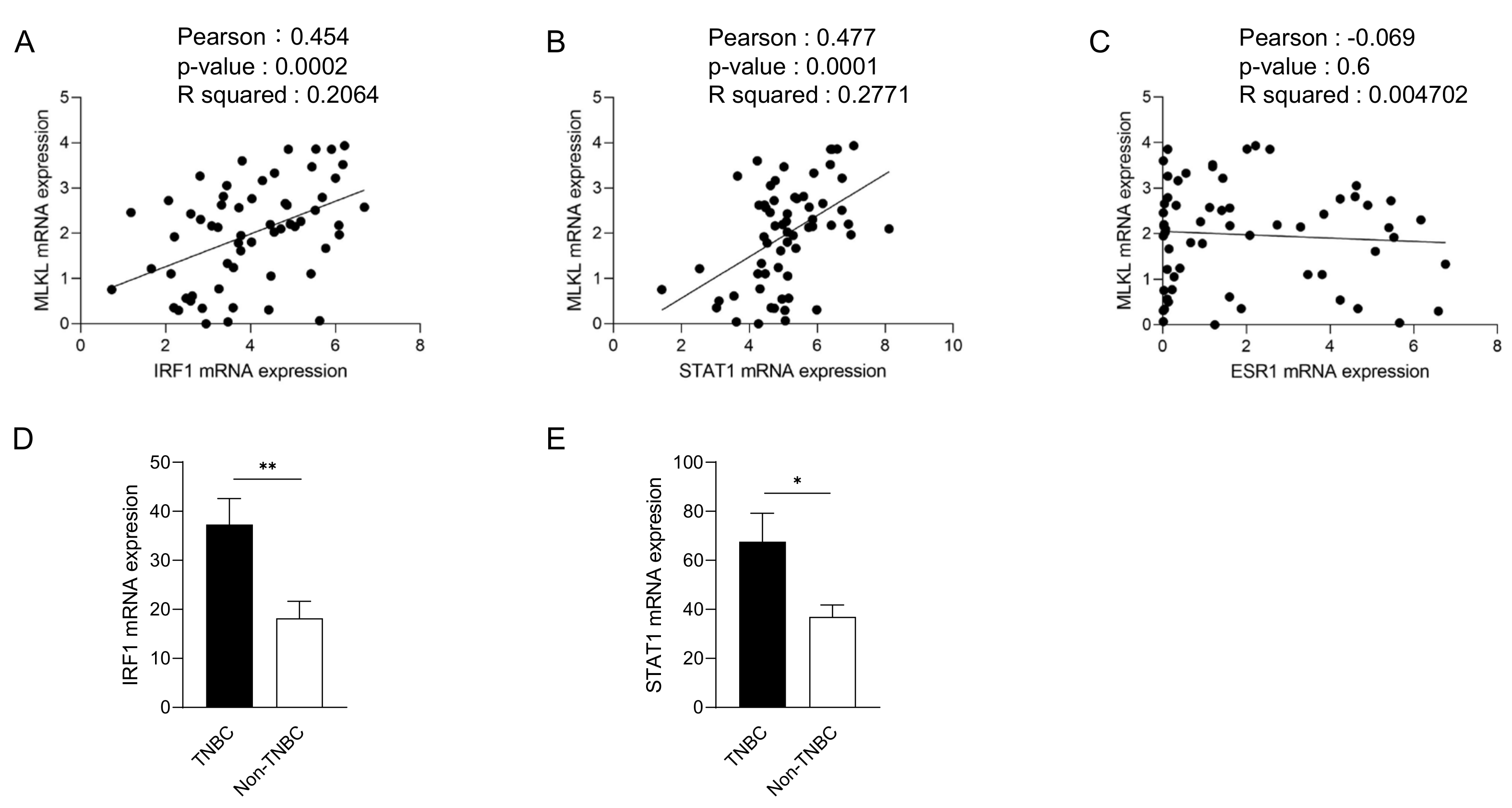 Cells 13 00405 g003 Cells 13 00405 g003