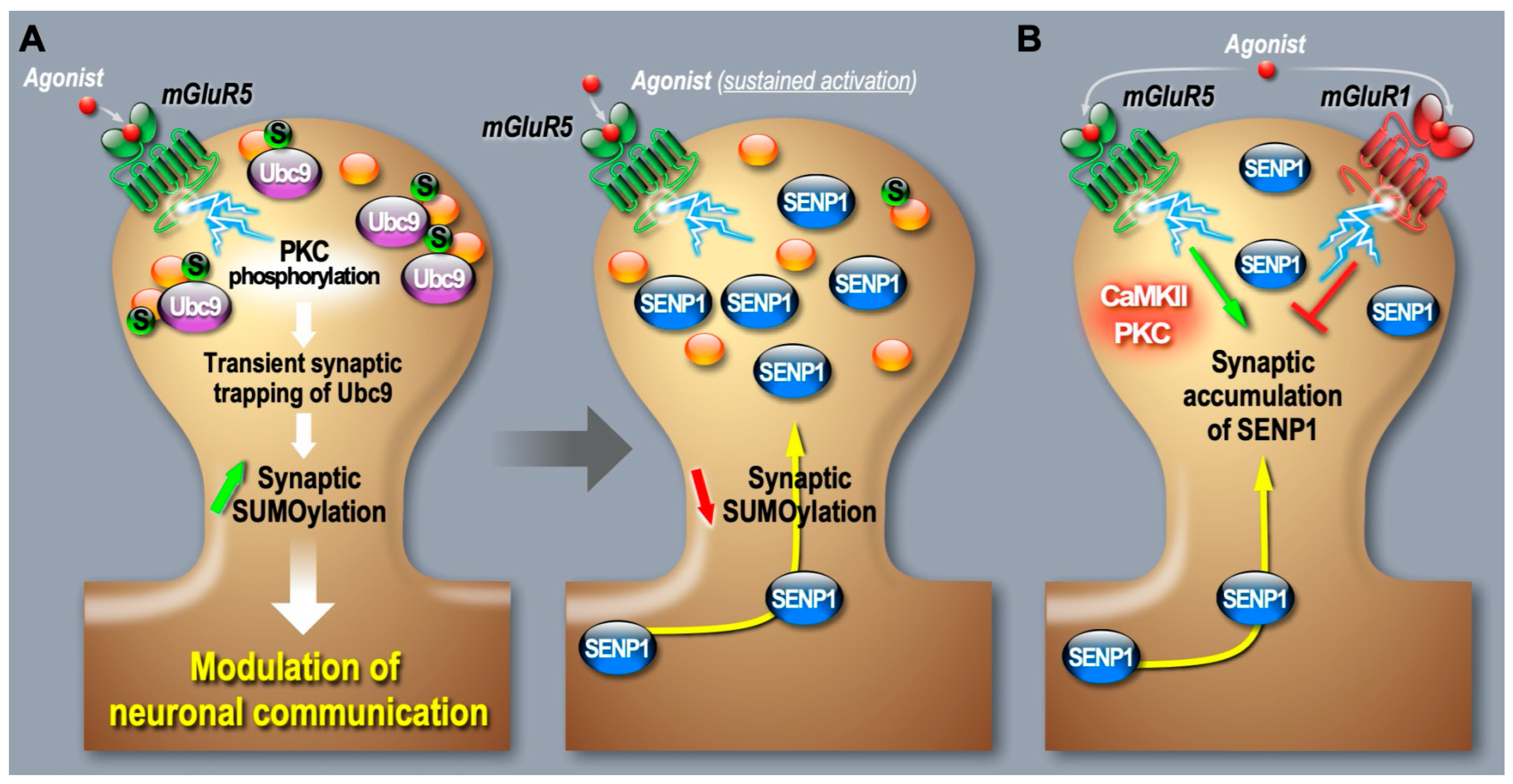 Cells 13 00420 g002 Cells 13 00420 g002