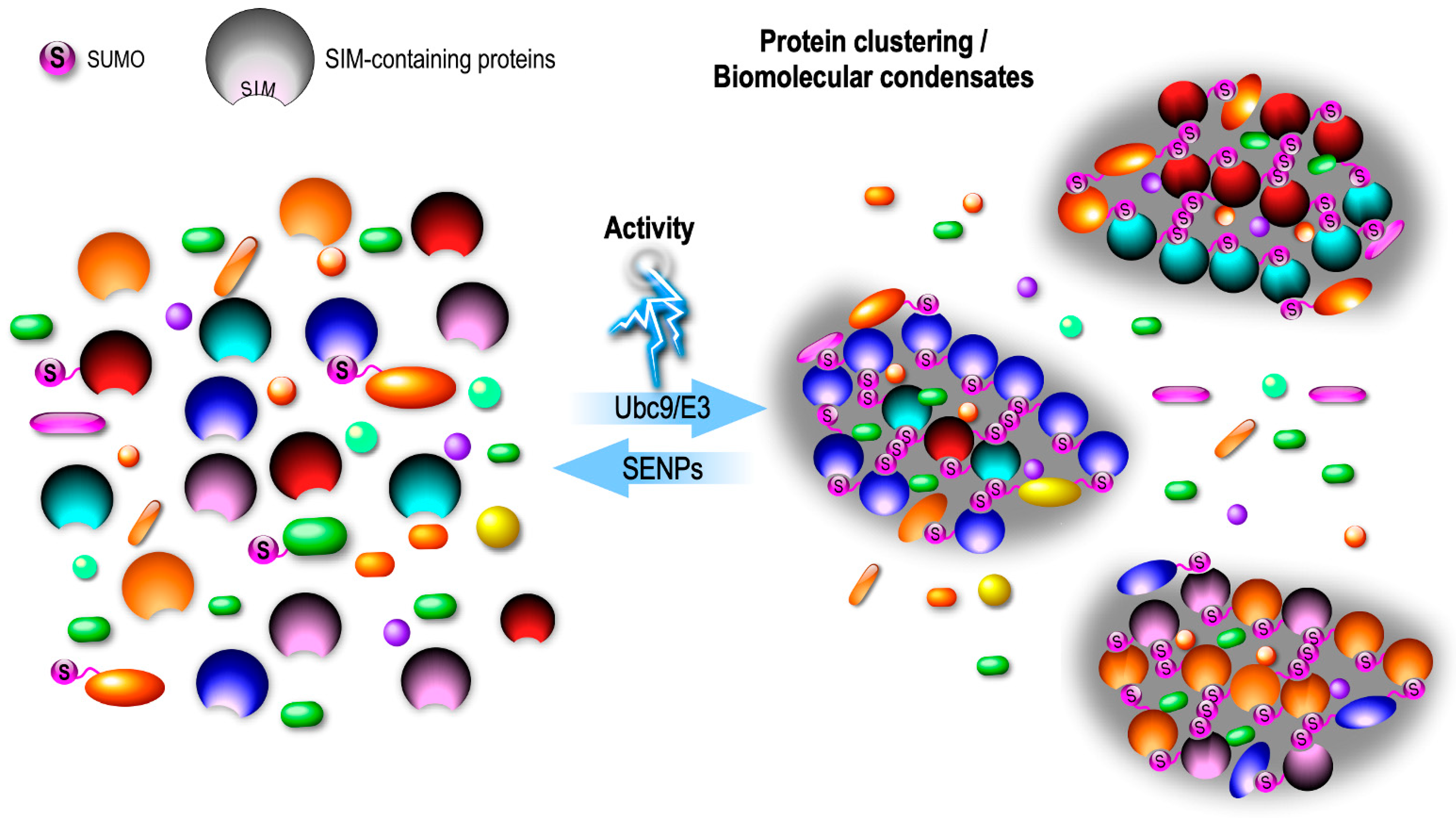 Cells 13 00420 g003 Cells 13 00420 g003