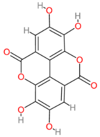 Cells 13 00421 i003 Cells 13 00421 i003