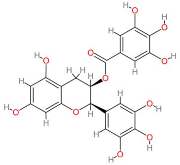 Cells 13 00421 i004 Cells 13 00421 i004