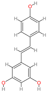 Cells 13 00421 i005 Cells 13 00421 i005