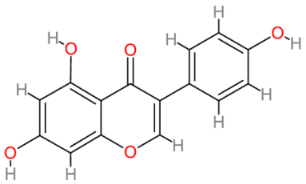 Cells 13 00421 i006 Cells 13 00421 i006