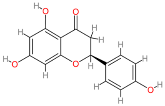 Cells 13 00421 i008 Cells 13 00421 i008