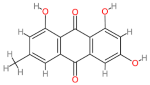 Cells 13 00421 i011 Cells 13 00421 i011