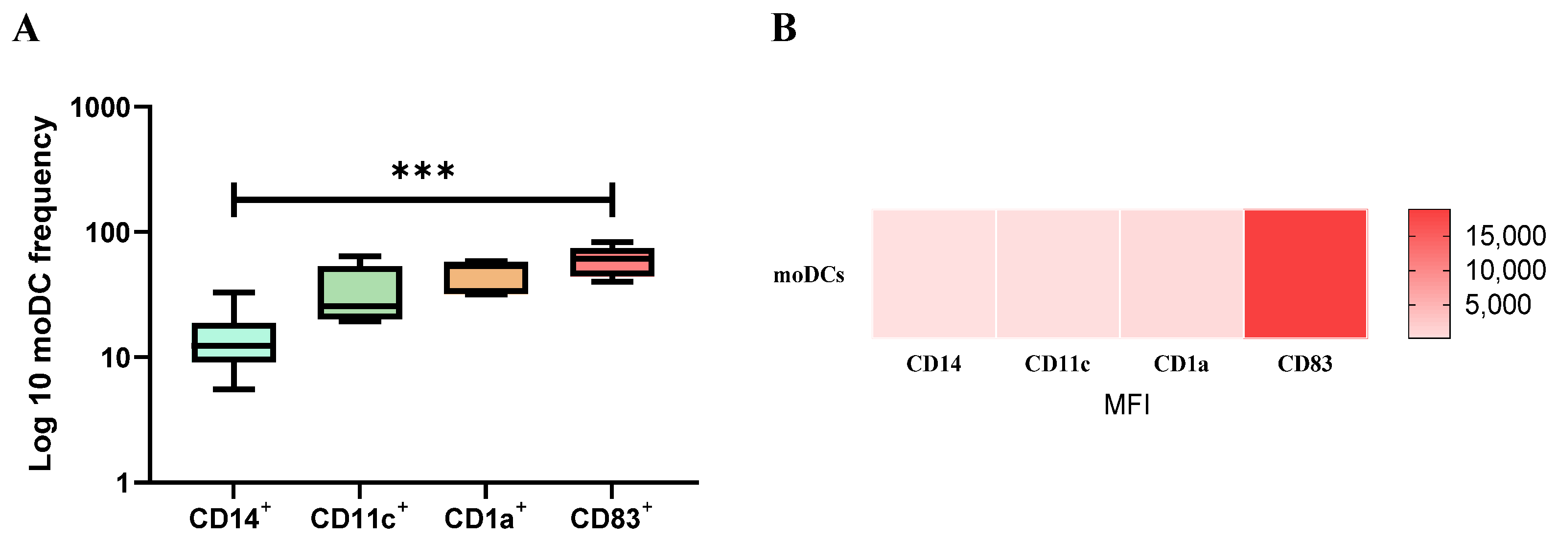 Cells 13 00445 g003 Cells 13 00445 g003