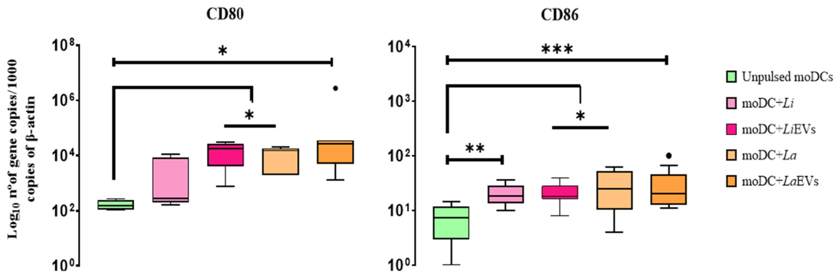 Cells 13 00445 g009 Cells 13 00445 g009