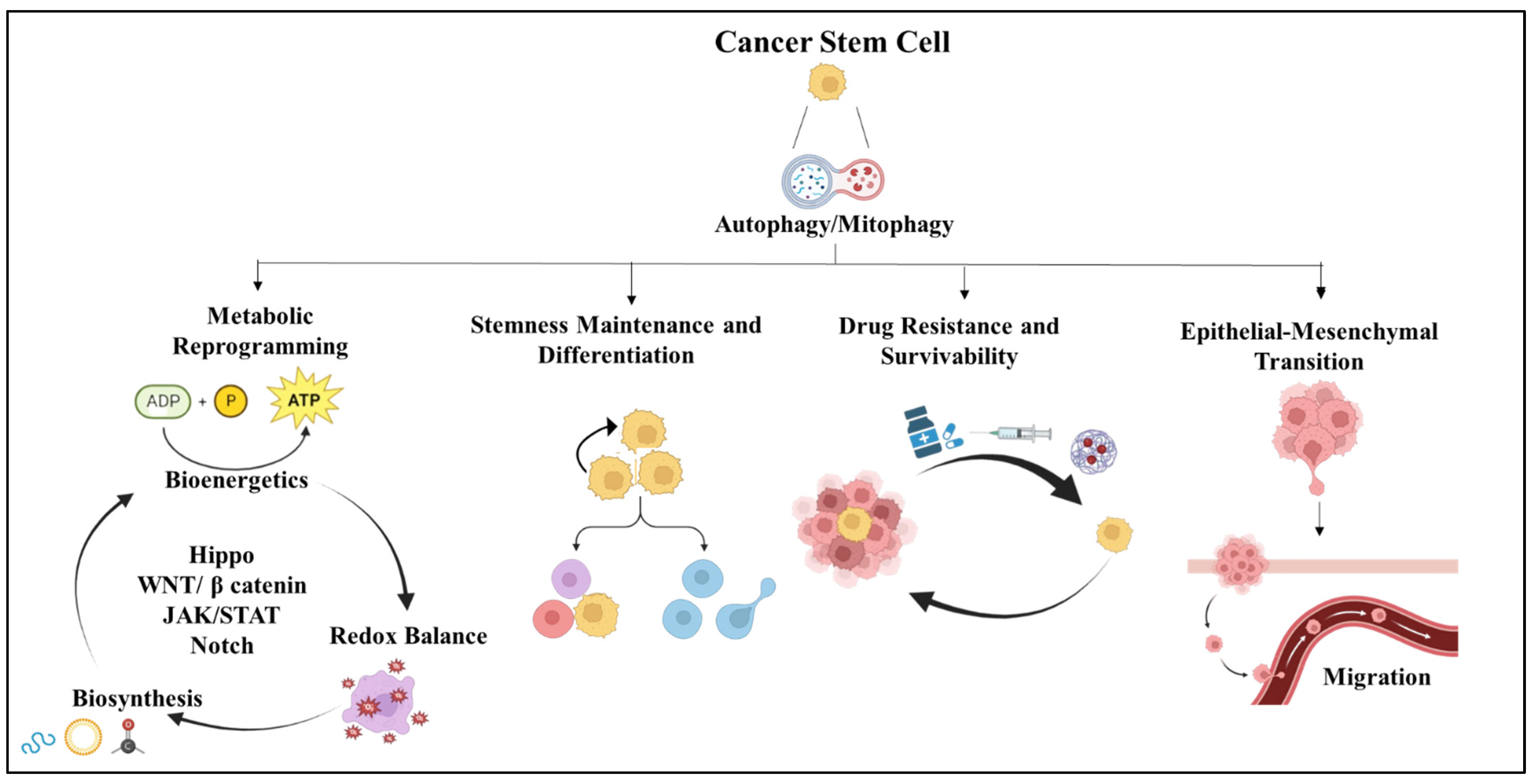 Cells 13 00447 g006 Cells 13 00447 g006