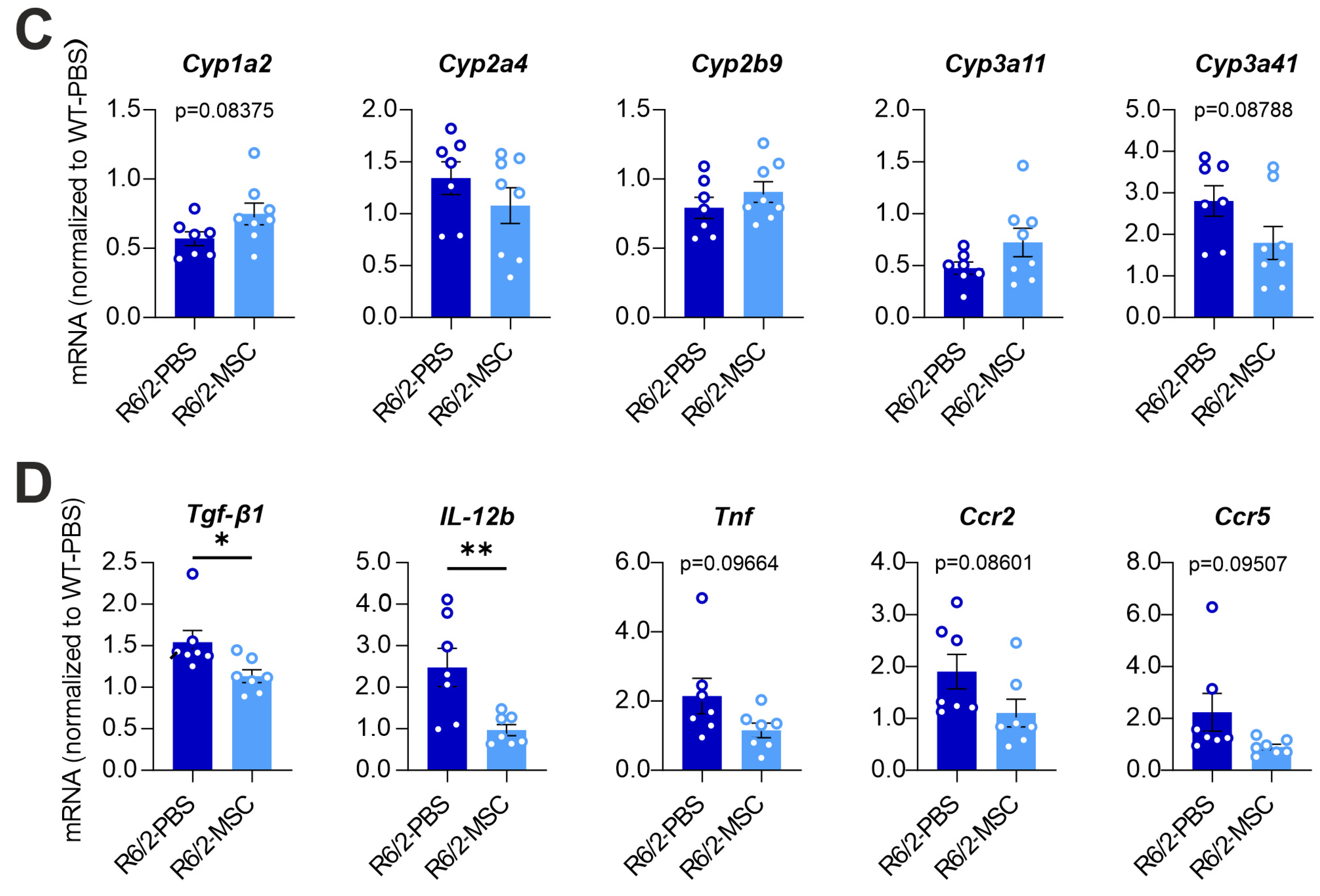 Cells 13 00469 g003b