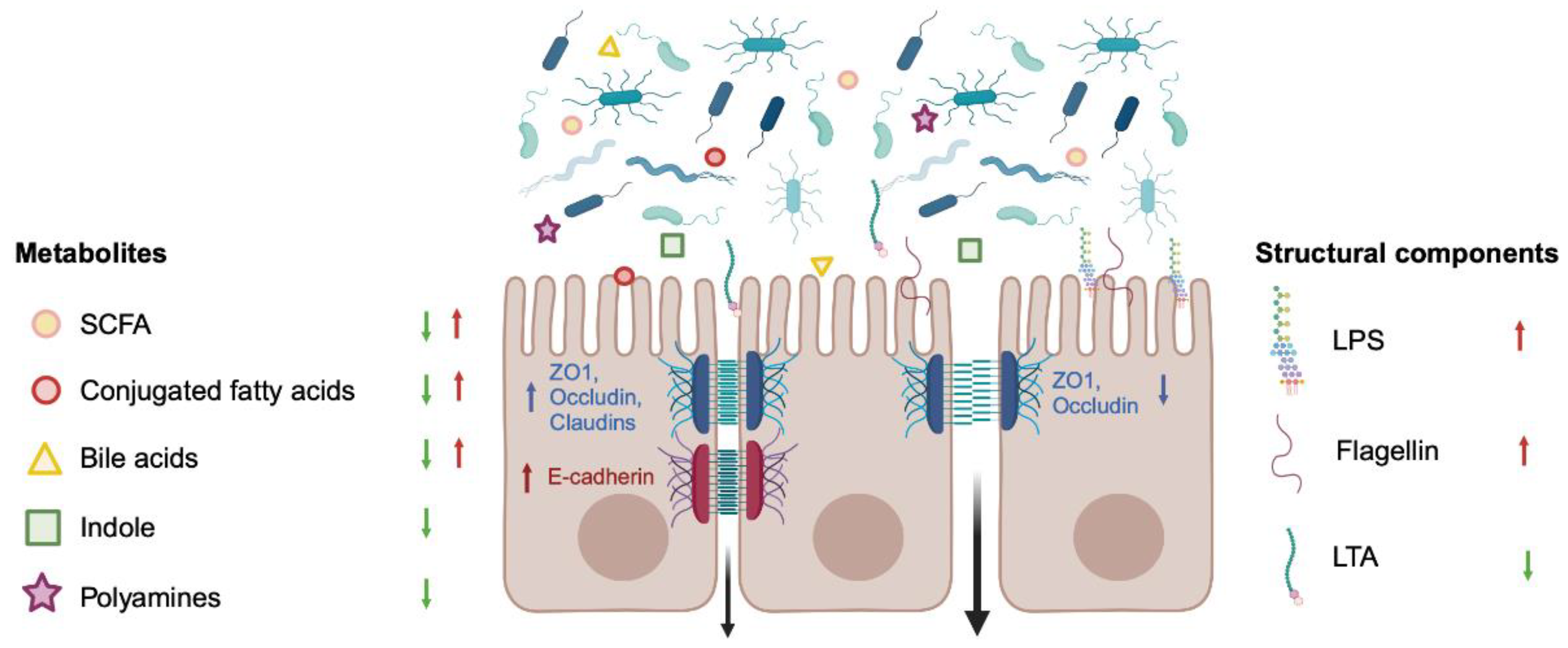 Cells 13 00477 g003 Cells 13 00477 g003