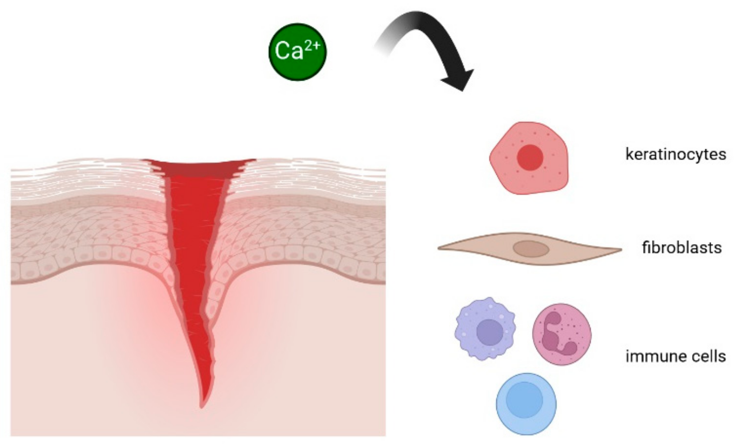 Cells 13 00491 g001 Cells 13 00491 g001
