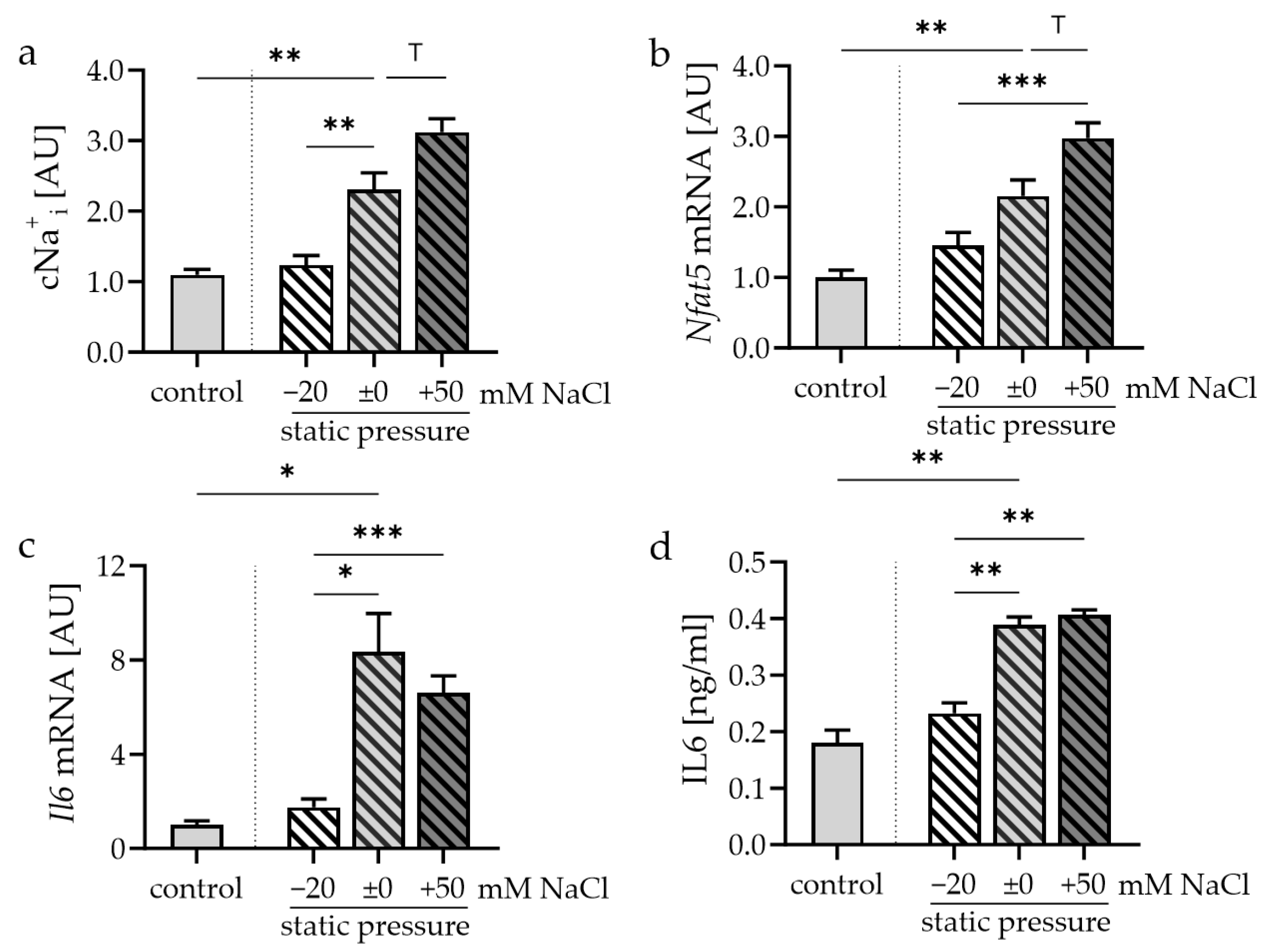 Cells 13 00496 g003a