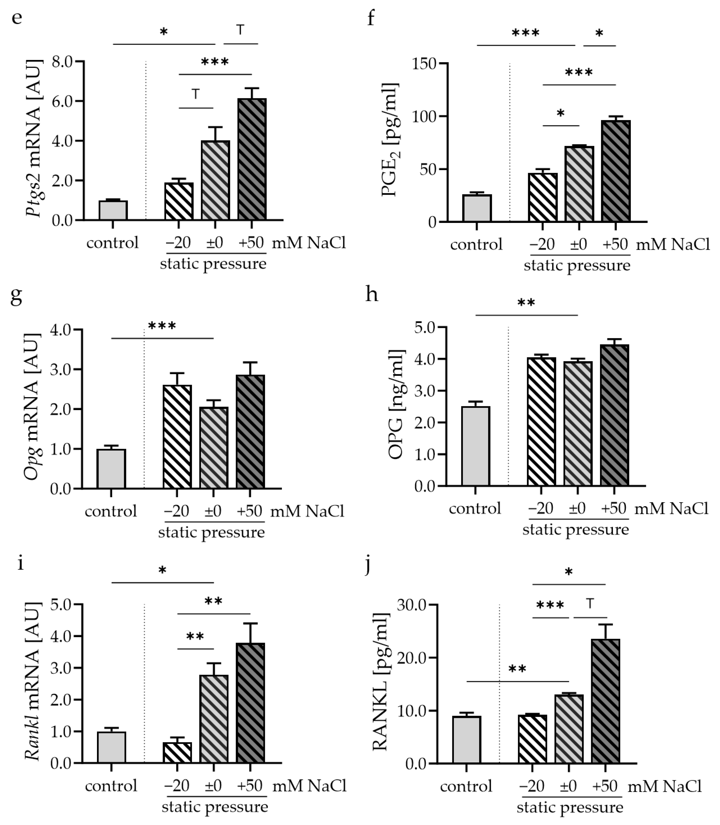 Cells 13 00496 g003b