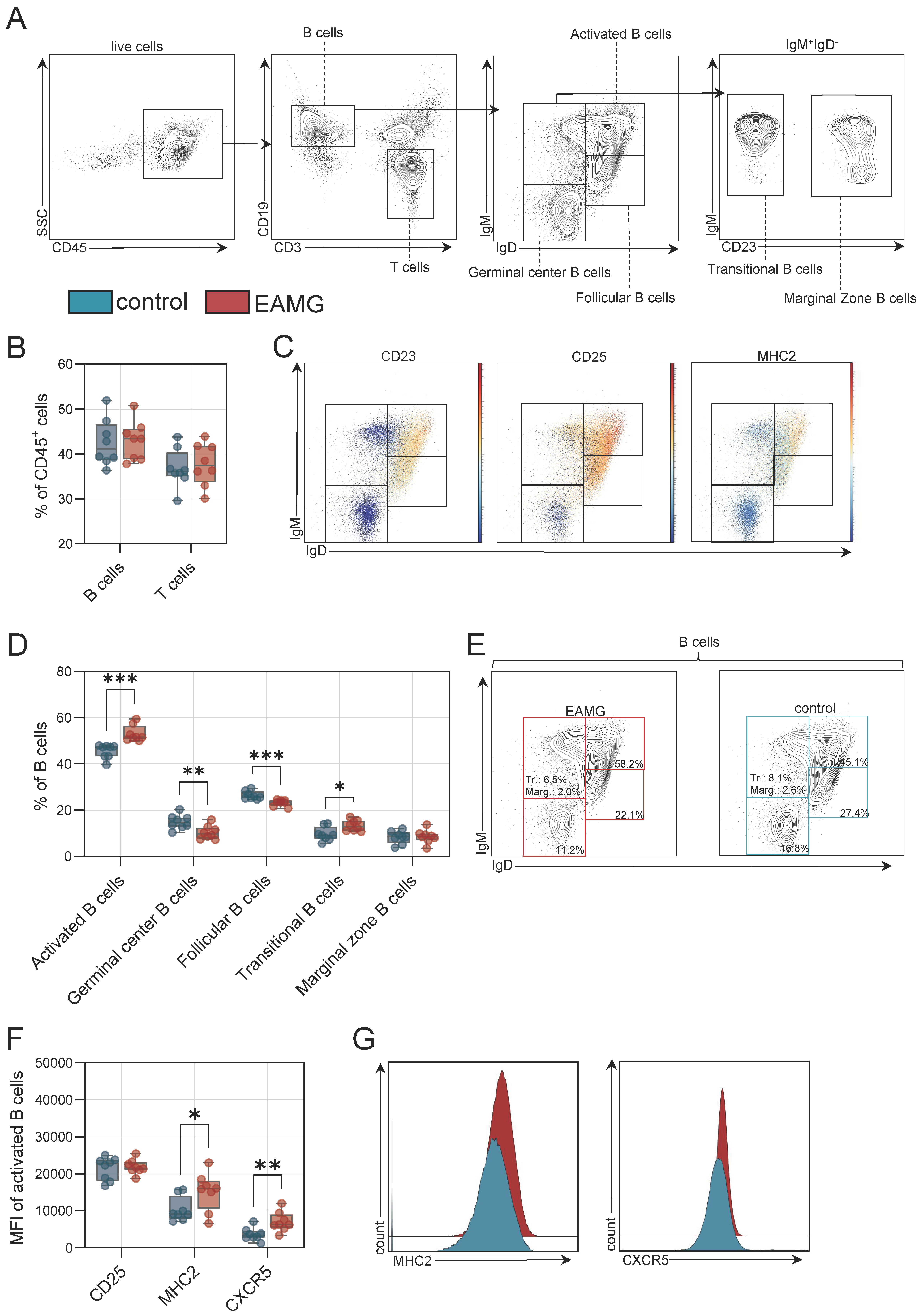 Cells 13 00508 g004a